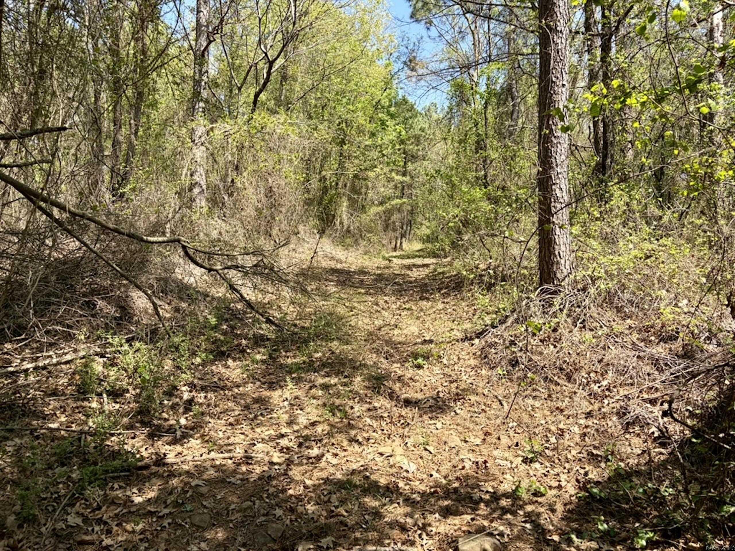 Not in Subdivision - Land