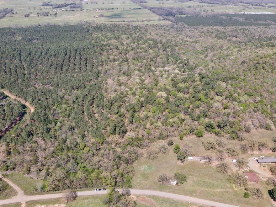 This versatile timber tract offers an excellent combination of recreational use and build-ready potential, making it well suited for hunters, outdoor enthusiasts, or a private rural homesite. The property features direct county road access via a 30-foot easement, providing convenient entry while maintaining a sense of privacy and seclusion.  The land consists of a healthy stand of mature timber mixed with dense undergrowth, creating prime wildlife habitat. Thick natural bedding areas and cover support strong populations of deer and other game species throughout the year. This balance of timber and habitat diversity enhances hunting opportunities, wildlife observation, and long-term land management potential.  Bordering a large timber company tract, the property benefits from expanded wildlife corridors, increased privacy, and limited surrounding development. An established logging road runs through the property, offering easy internal access for navigating the land, setting up stands, or planning improvements such as food plots or trail systems.  A recent survey confirms clear boundaries, simplifying the buying process. With strong access, quality habitat, and build potential, this