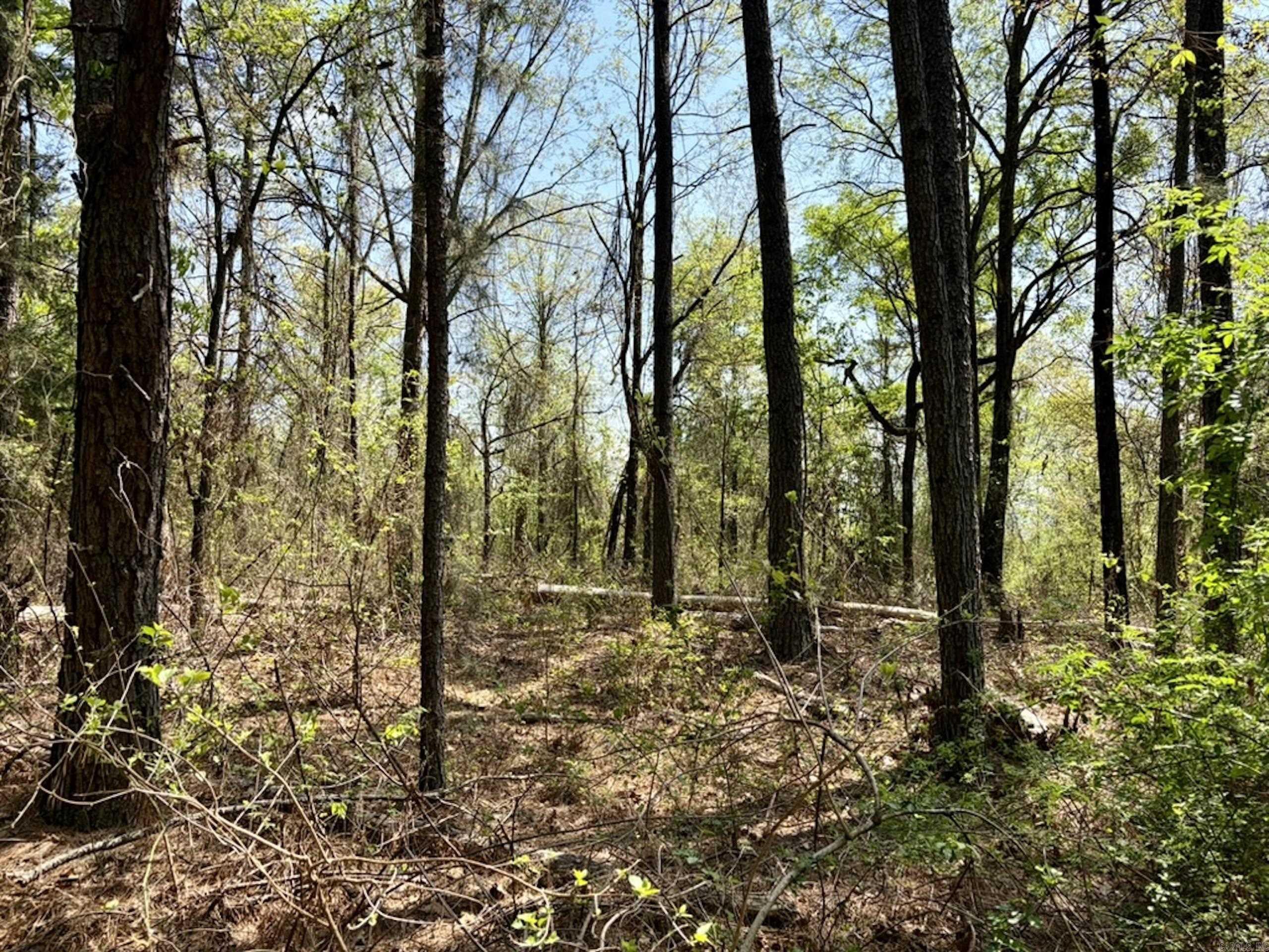 Not in Subdivision - Land