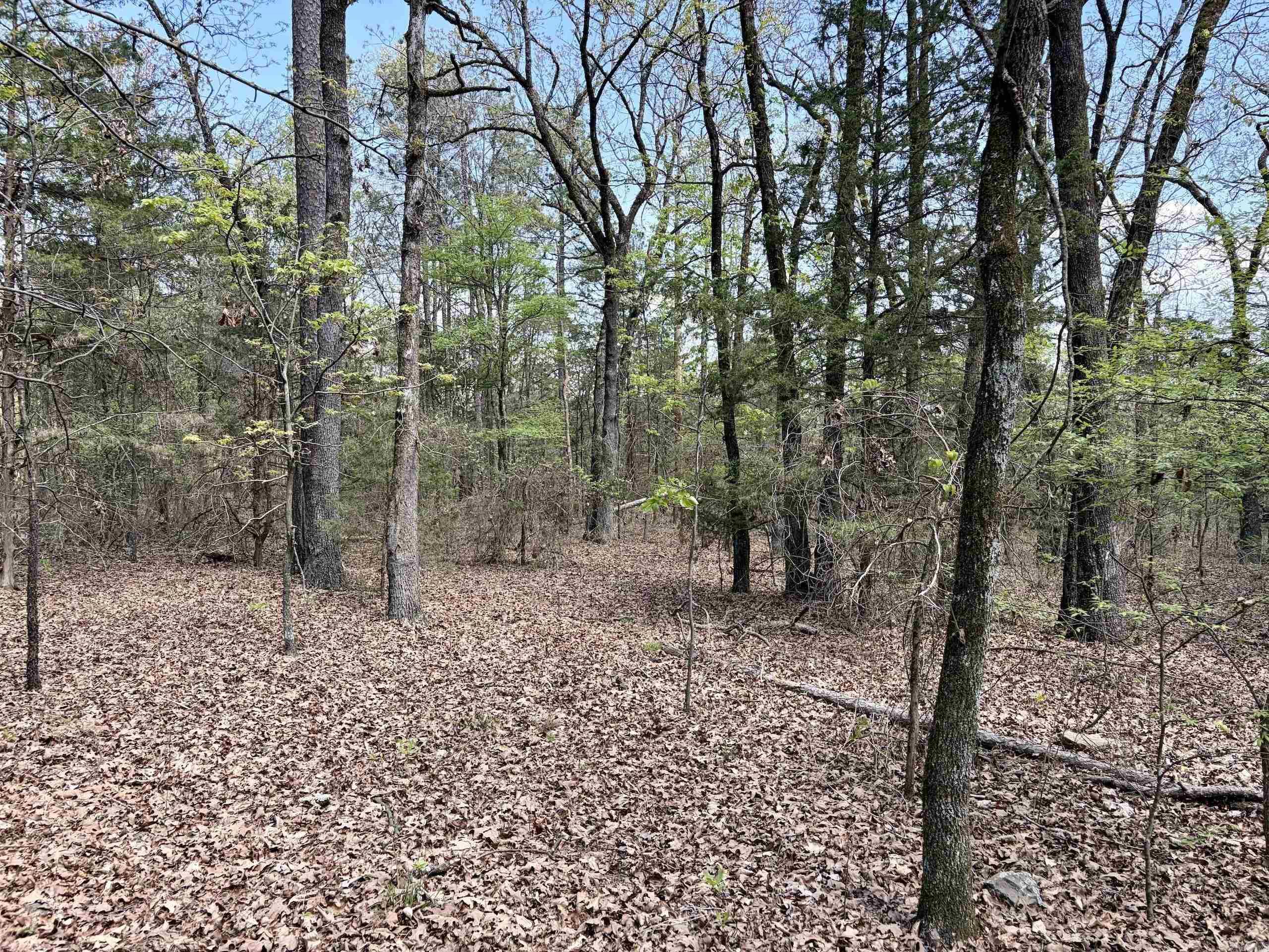 Not in Subdivision - Land