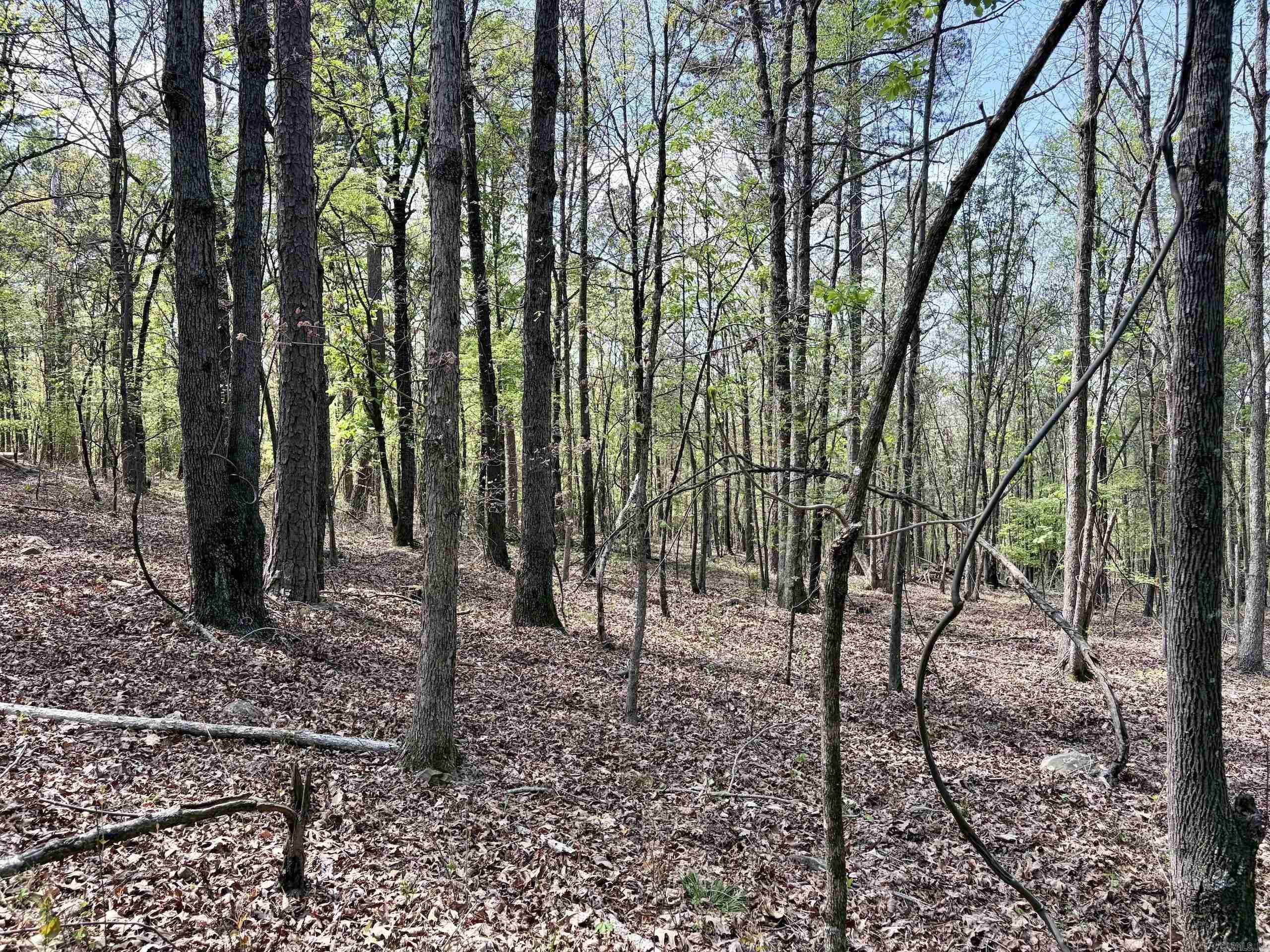 Not in Subdivision - Land