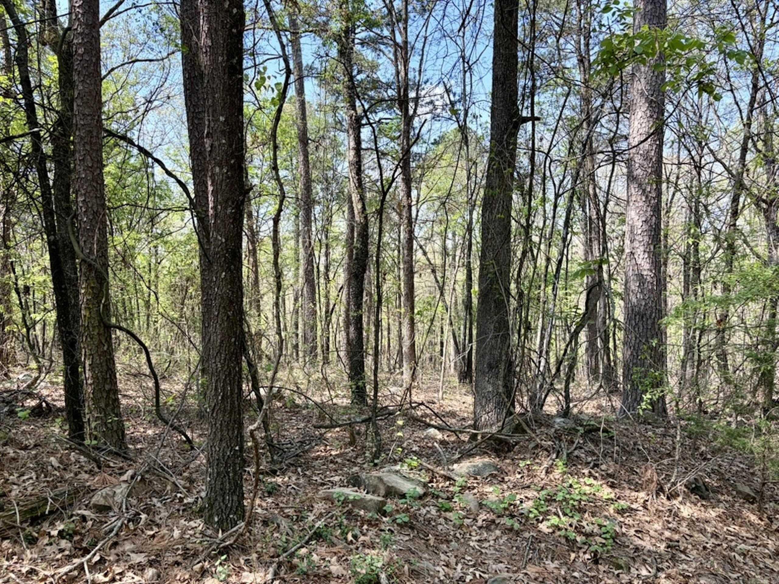 Not in Subdivision - Land