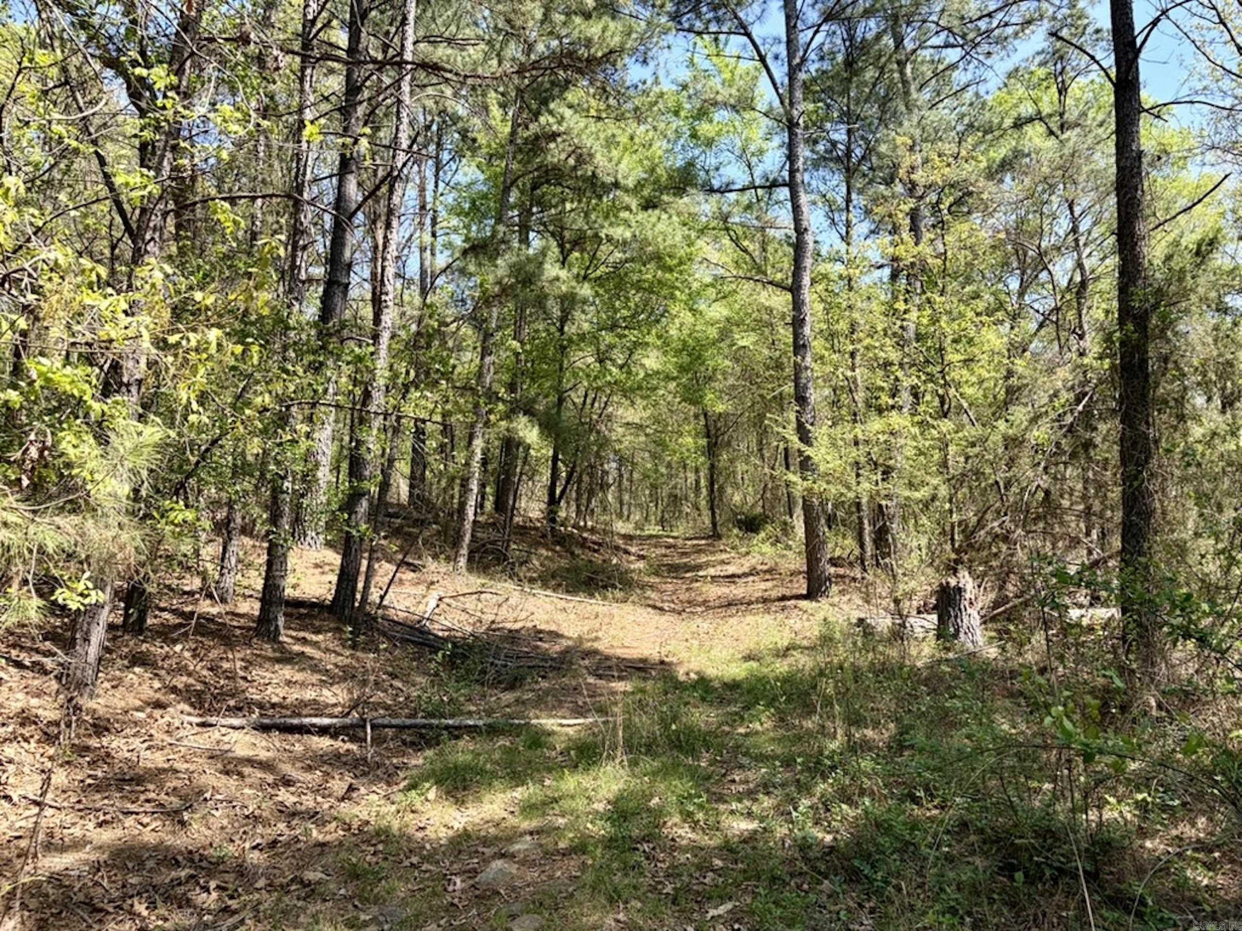 Not in Subdivision - Land