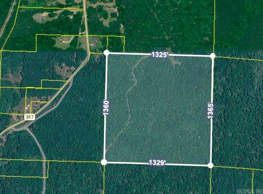 Land! With 40 acres outside of city limits, enjoy the freedom to build your own country estate, expand your agricultural interests, or just let the trees grow for future harvesting.  Located in the desirable Elliott area, and surrounded by mature timberlands and custom built homes, this property offers versatile use.  Mobile homes, livestock endeavors, and hunting are permitted on the land.