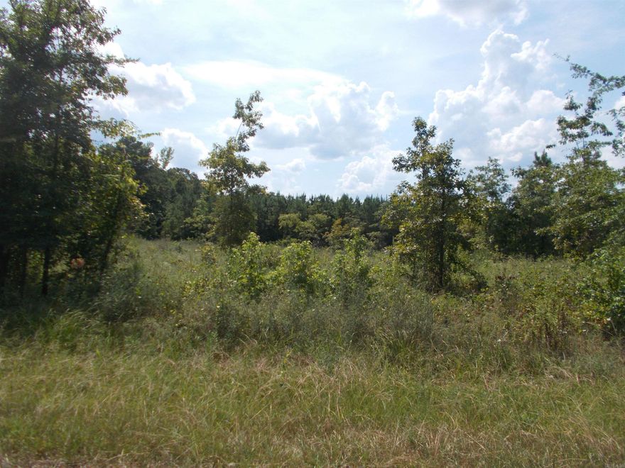 41.77 with approx. 36 acres with 7-10 year pine. Approx. 5.5 acres has been cleared. If property is divided more that 1 time, the entire acreage will be subject to an impact fee at Sardis Water before they will provide water....Water line, gas and electric is at Grant 53, with approx. 1200 ft of road frontage....You can see Hwy 167 from this property.