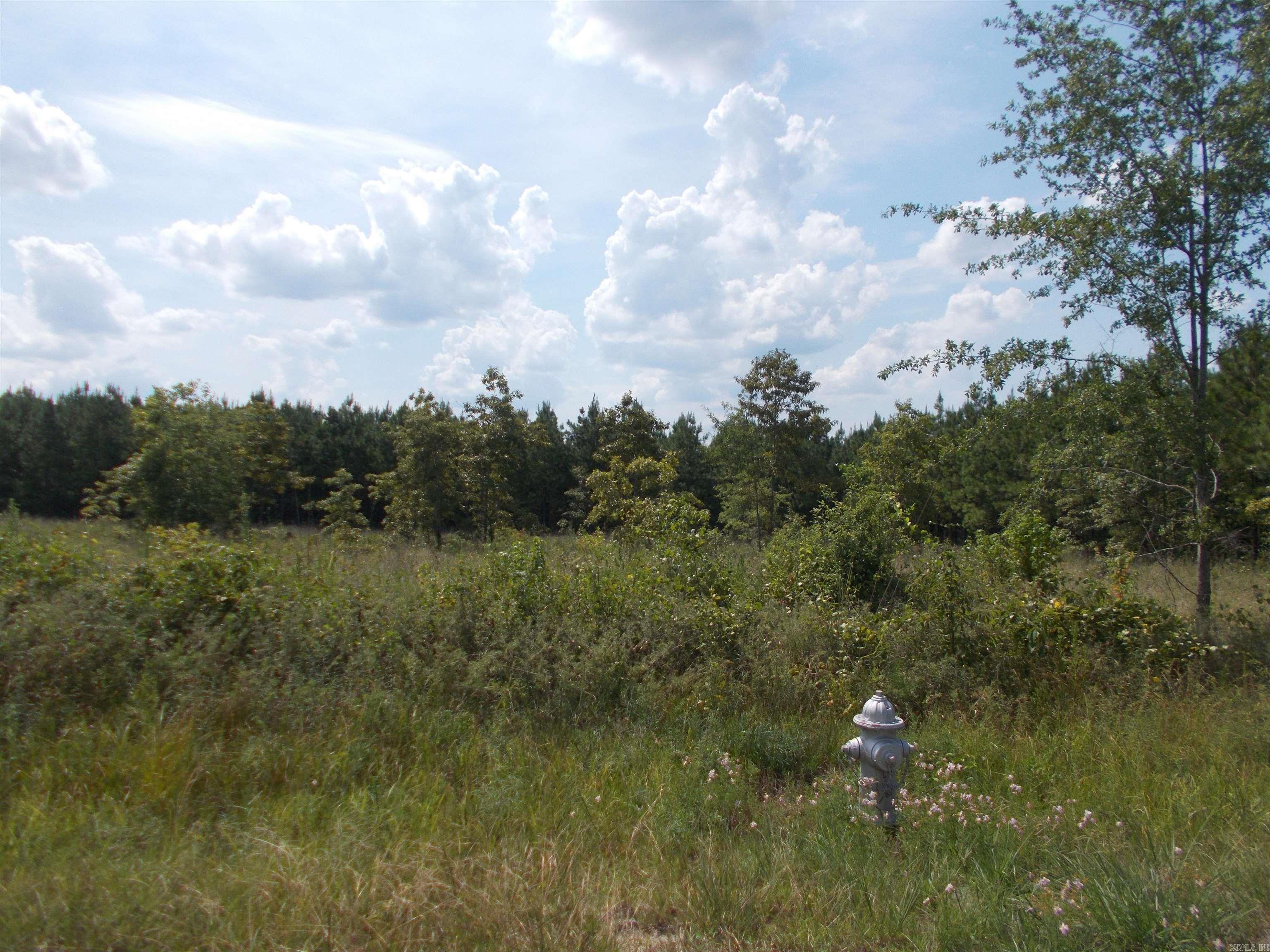 41.77 with approx. 36 acres with 7-10 year pine. Approx. 5.5 acres has been cleared. If property is divided more that 1 time, the entire acreage will be subject to an impact fee at Sardis Water before they will provide water....Water line, gas and electric is at Grant 53, with approx. 1200 ft of road frontage....You can see Hwy 167 from this property.