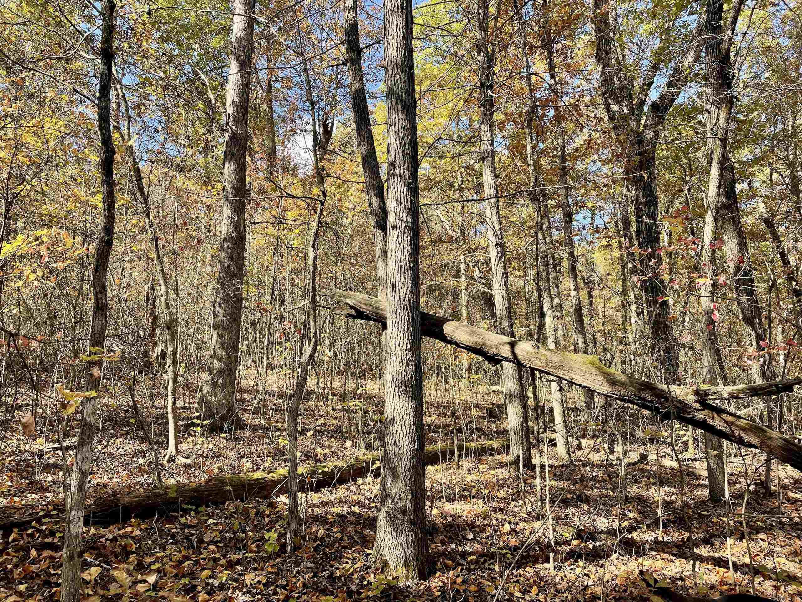 Not in Subdivision - Land