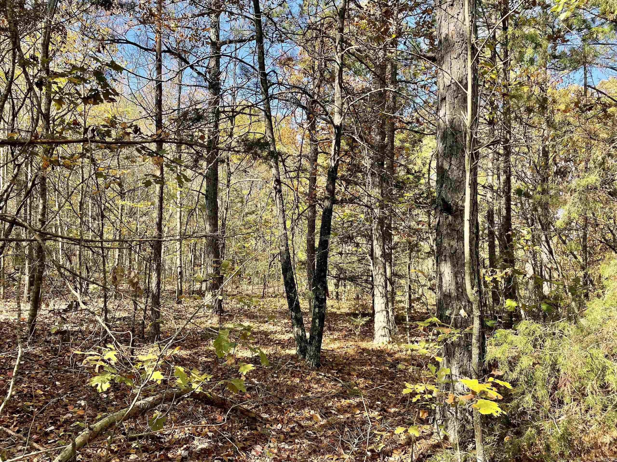 Not in Subdivision - Land