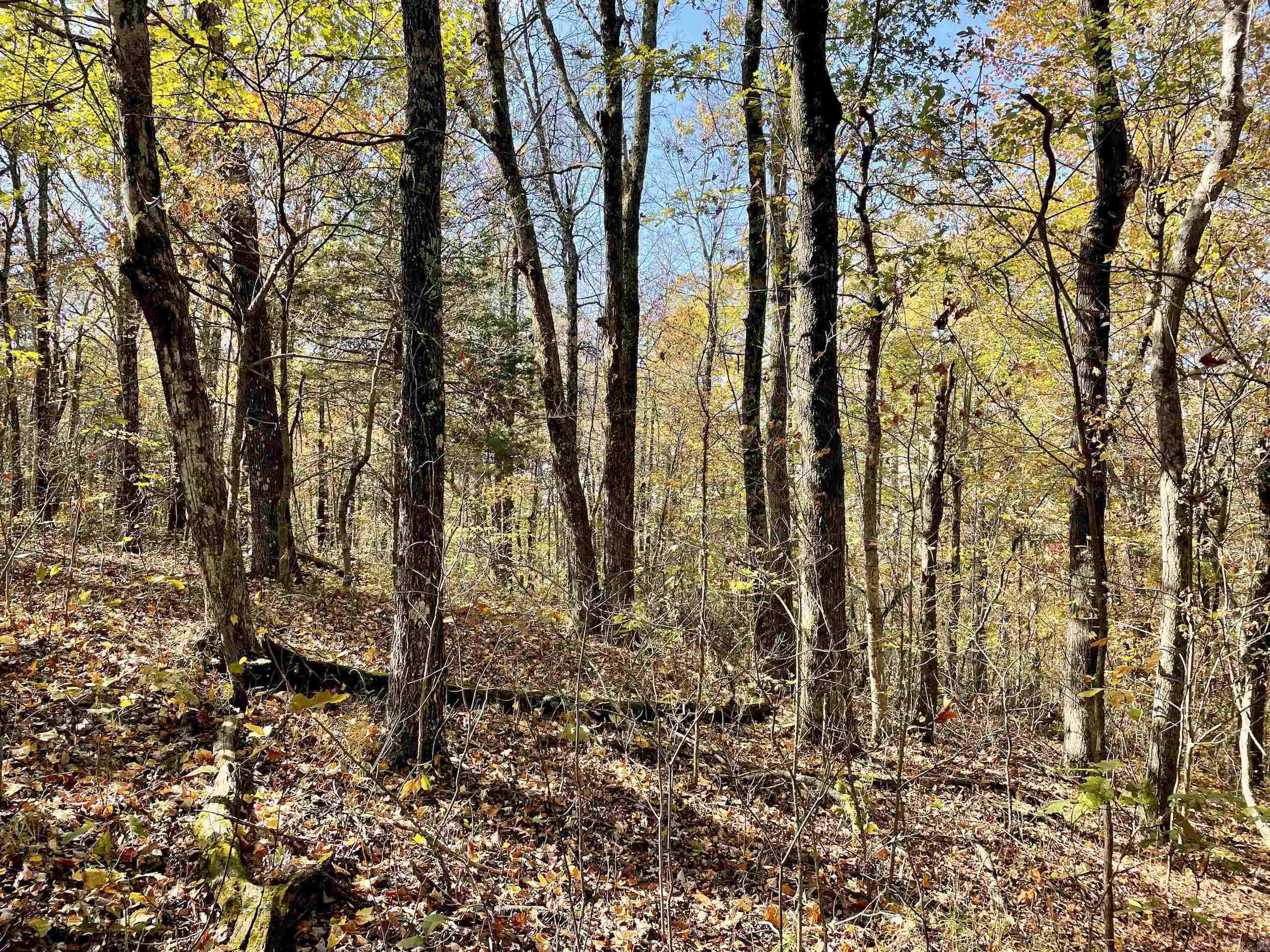 Not in Subdivision - Land