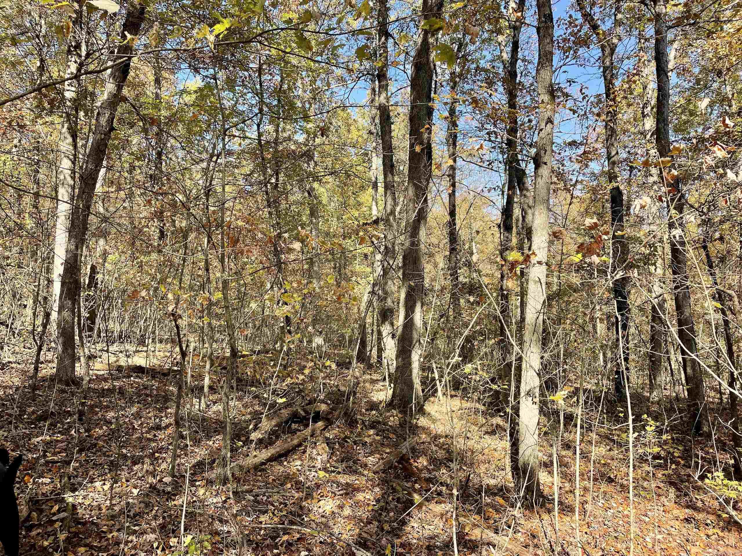 Not in Subdivision - Land