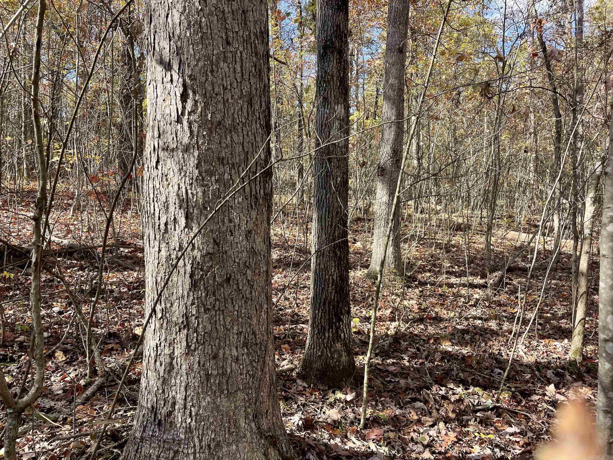 Not in Subdivision - Land