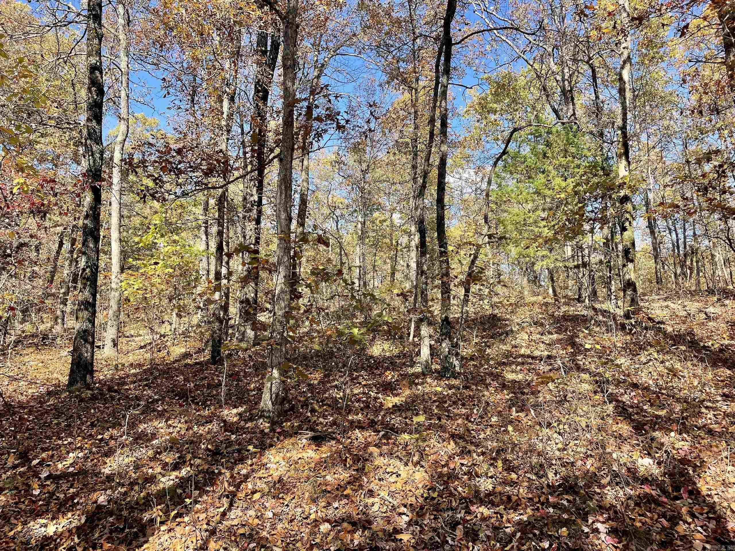 Not in Subdivision - Land