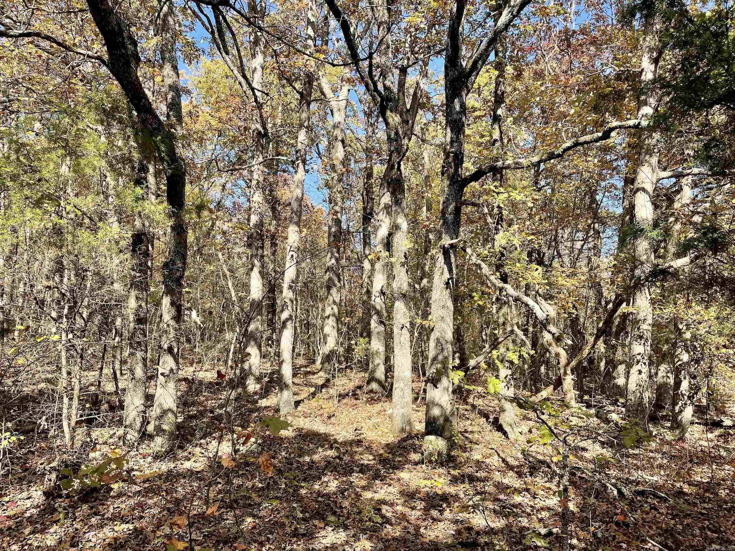 Not in Subdivision - Land