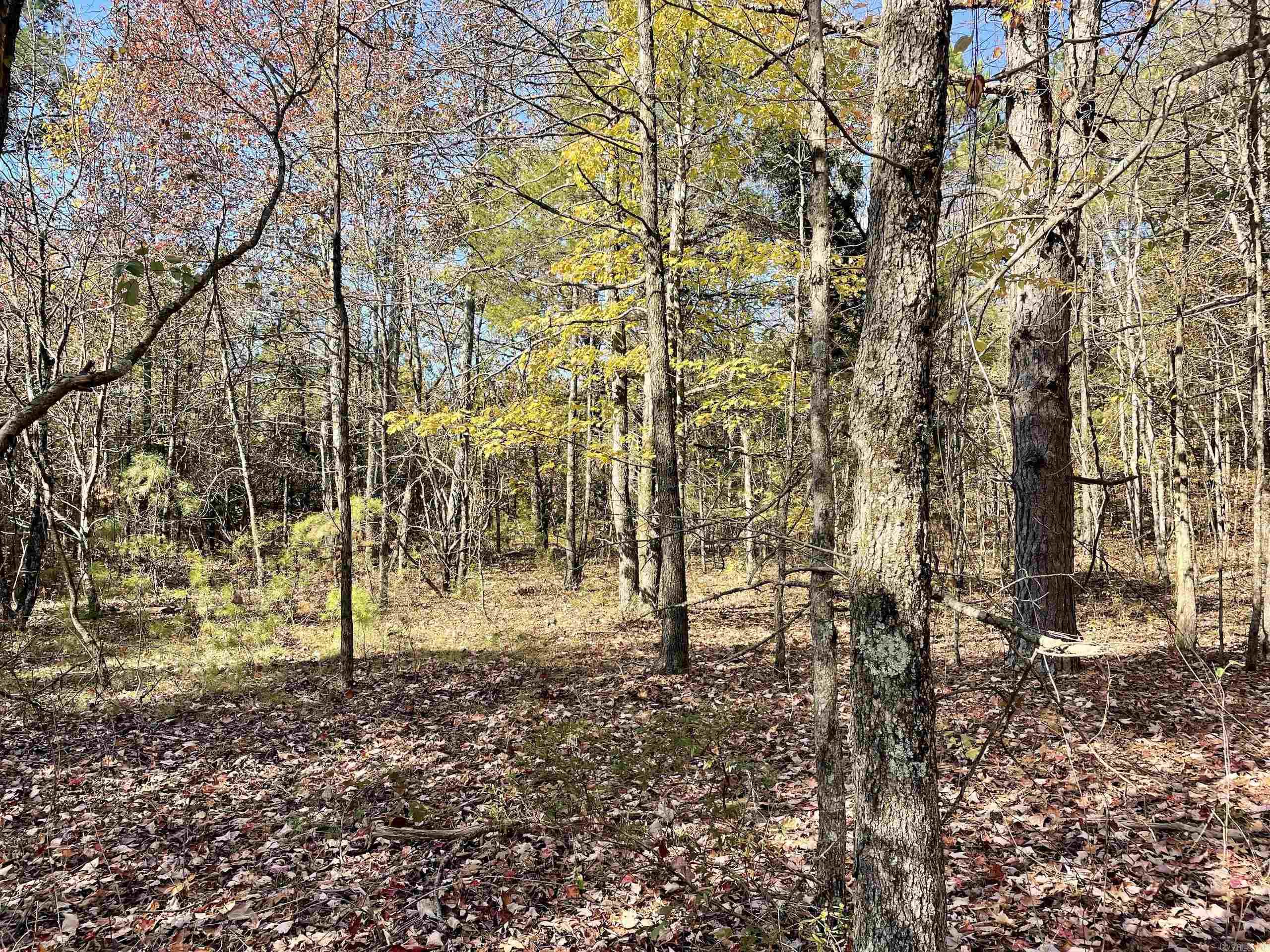 Not in Subdivision - Land