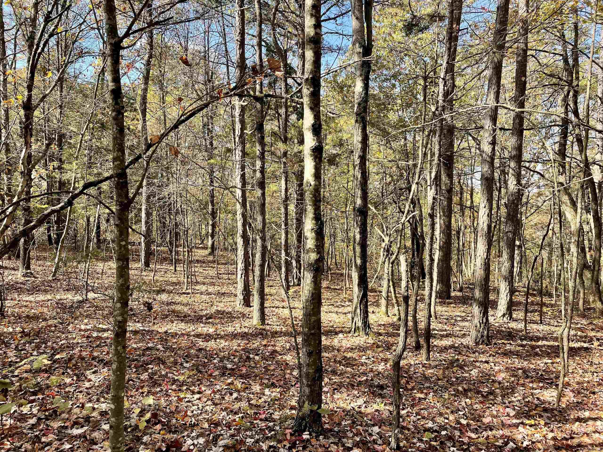 Not in Subdivision - Land