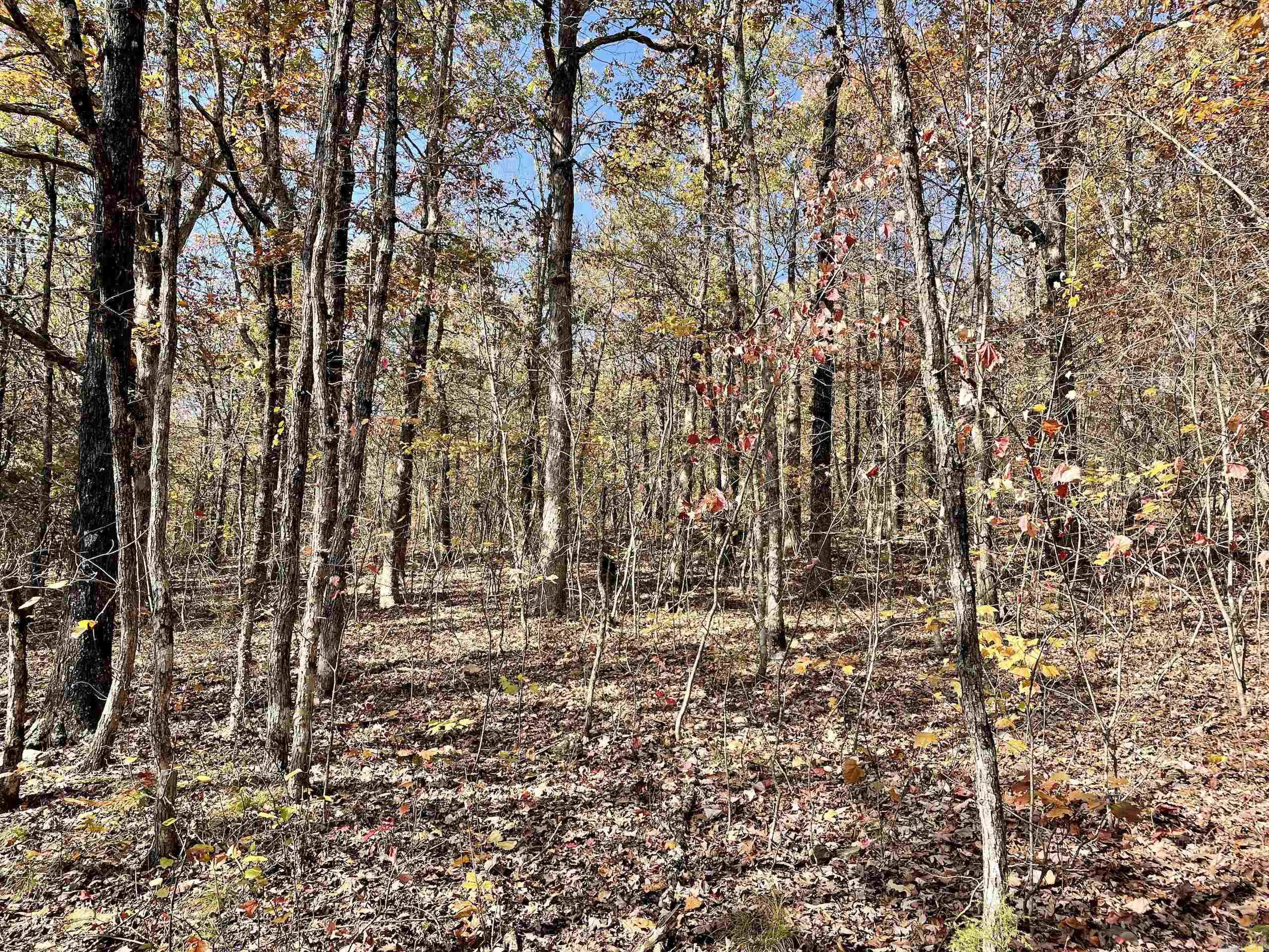 Not in Subdivision - Land