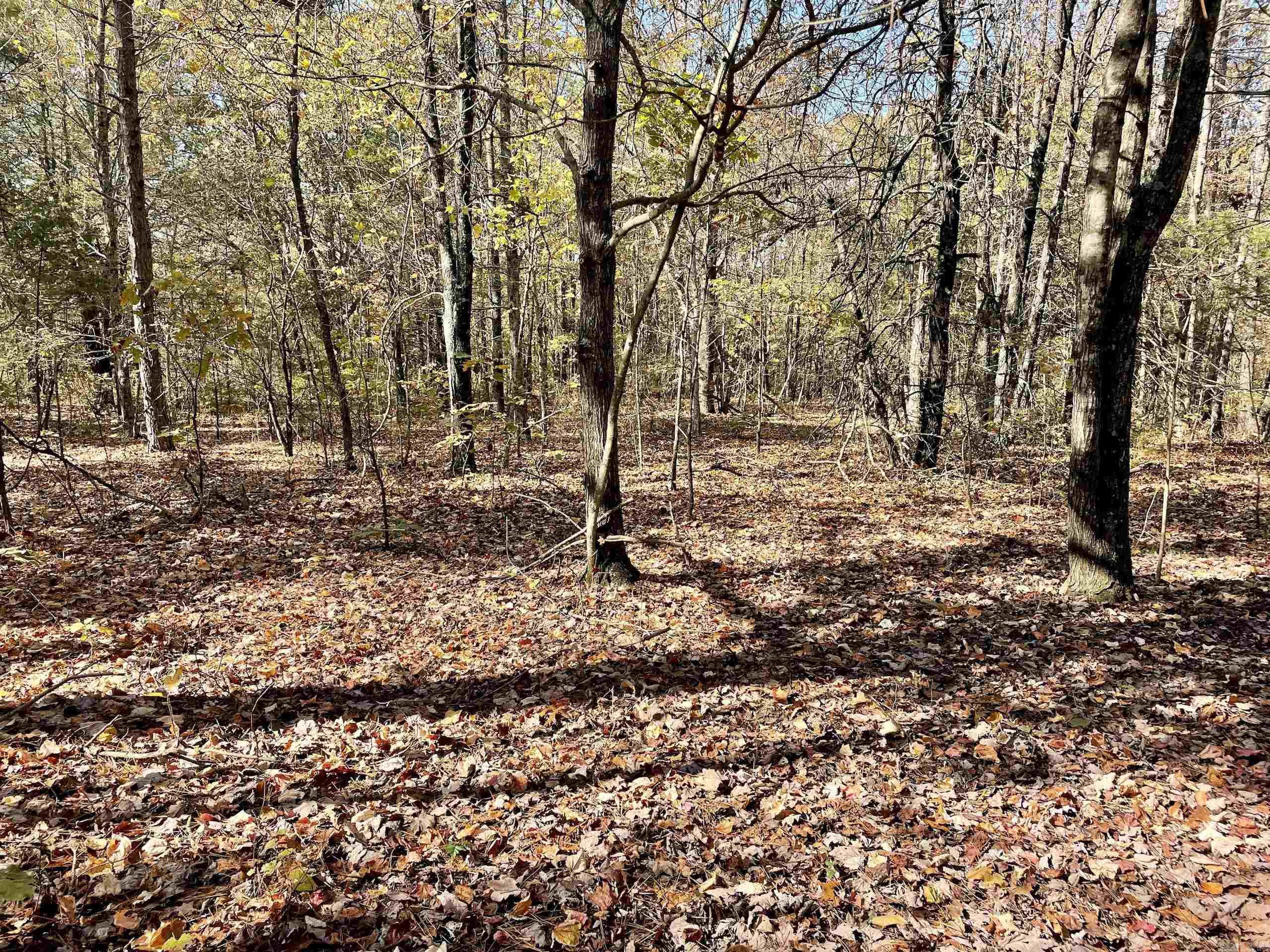 Not in Subdivision - Land