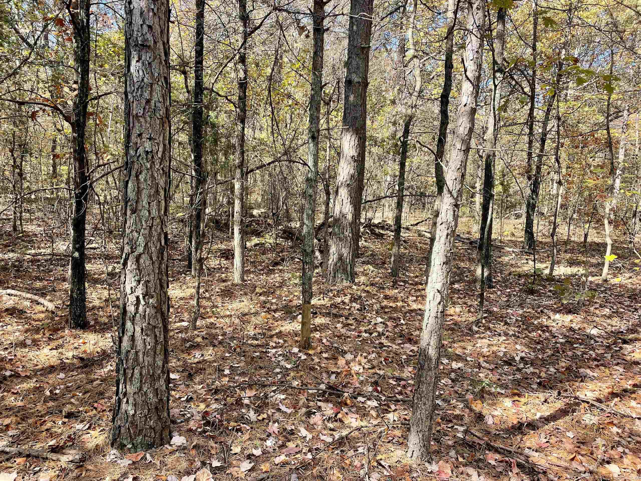 Not in Subdivision - Land