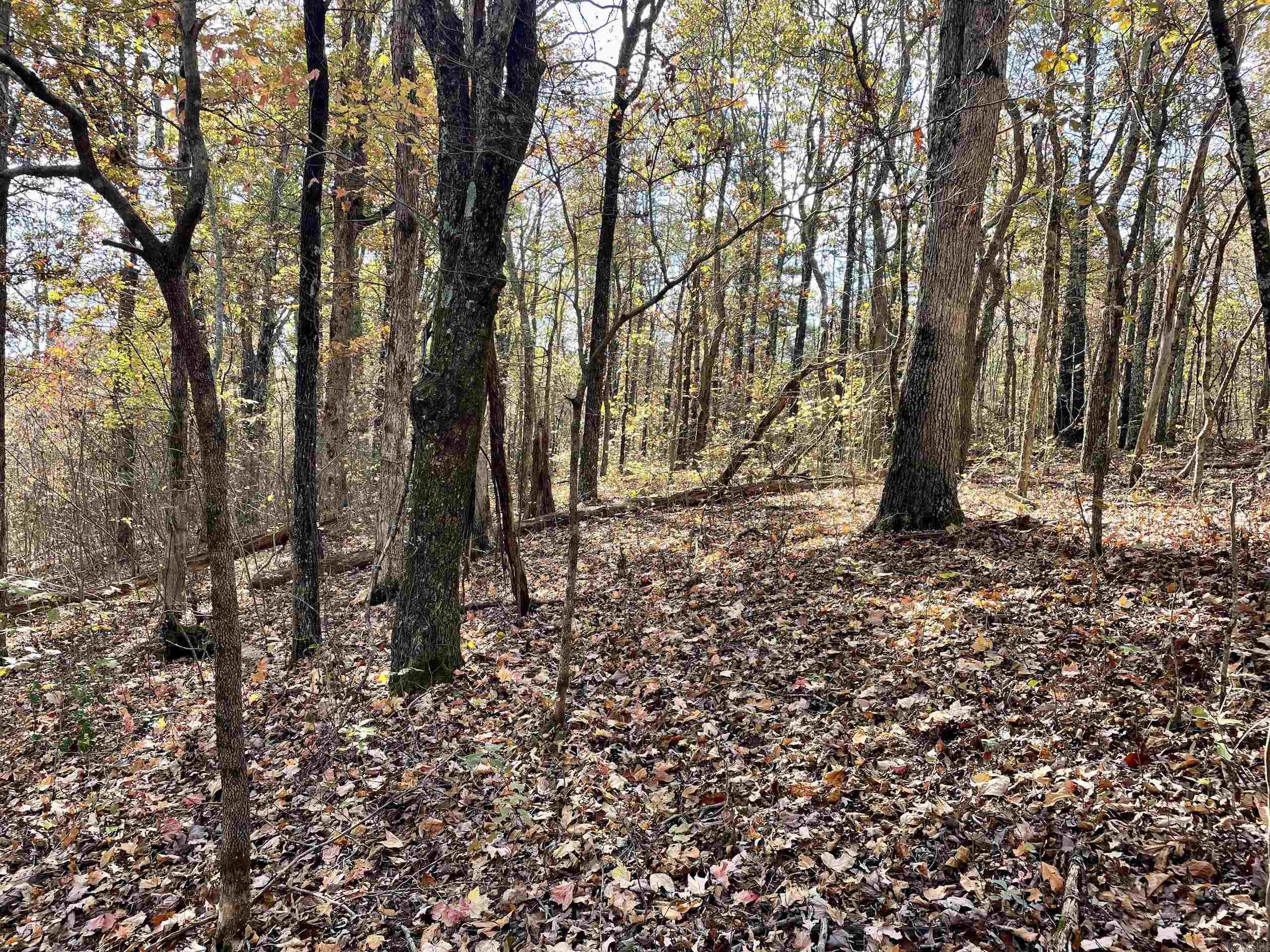 Not in Subdivision - Land