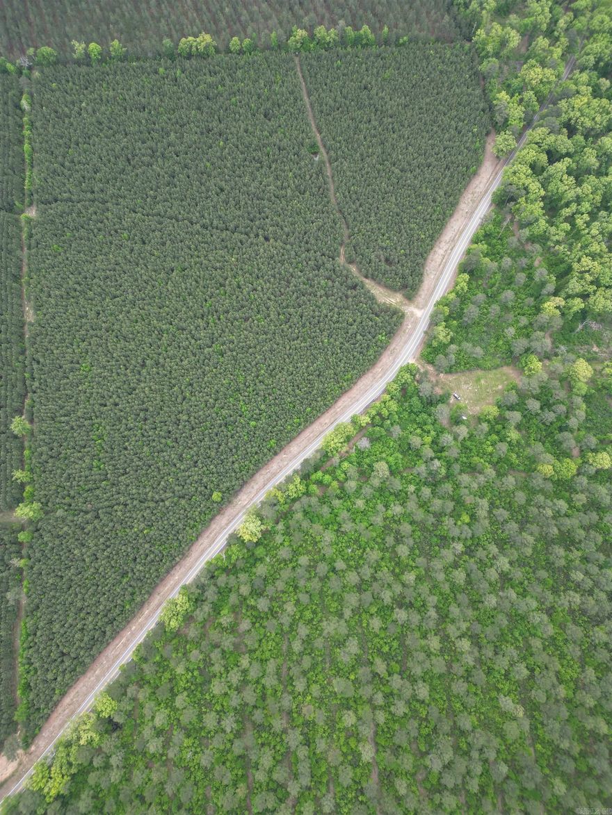 Discover the potential of this beautiful 12.26-acre tract! Featuring a secured utility easement and currently covered in younger pine timber, this property offers both privacy and opportunity. Whether you’re looking to build your dream home, create a peaceful homestead, or invest for the future, this acreage provides a versatile canvas to make your vision a reality. Don’t miss your chance to own a piece of land with endless possibilities—make this acreage your home today! This property is realtor owned.