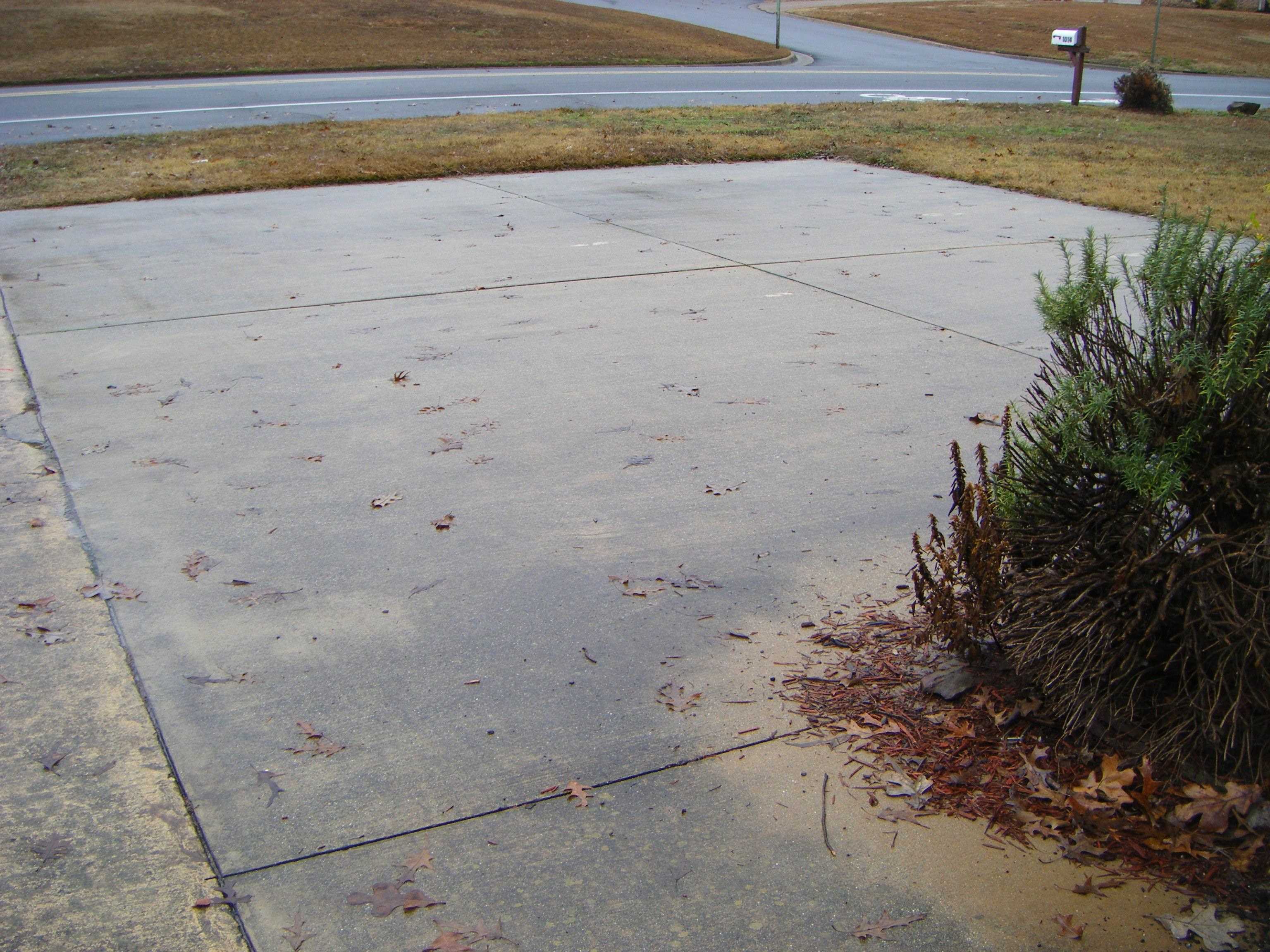 PINE HILLS PARK ADDN - Residential