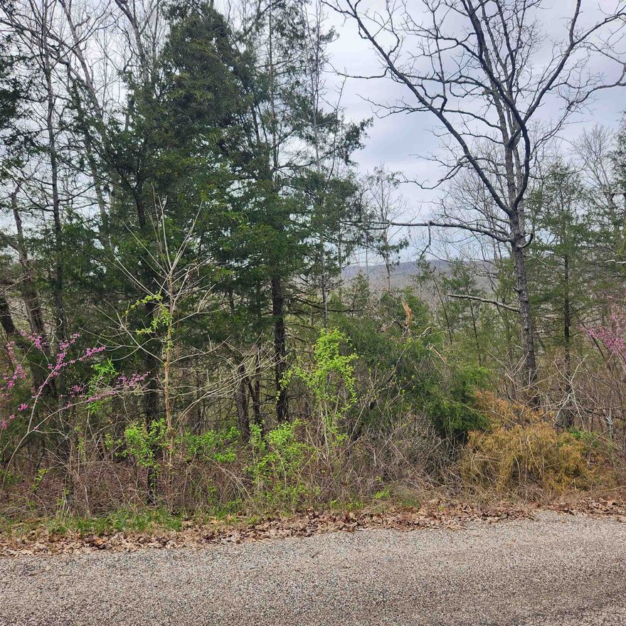 This is a gently sloping lot with an downhill slope. It has easy access to the 4-lane highway for shopping and dining. This is a nice, wooded lot just waiting for you to come pick the spot you want to build your dream home on. With property ownership comes access to all the amenities of Cherokee Village. 7 Lakes, 2 Golf courses, 2 recreational centers and don't forget about the beautiful Southfork River that meanders right through Cherokee Village.