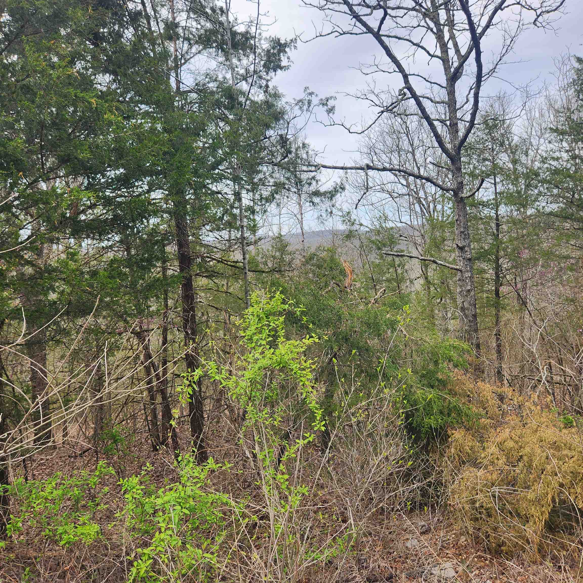 Chickasaw First - Land