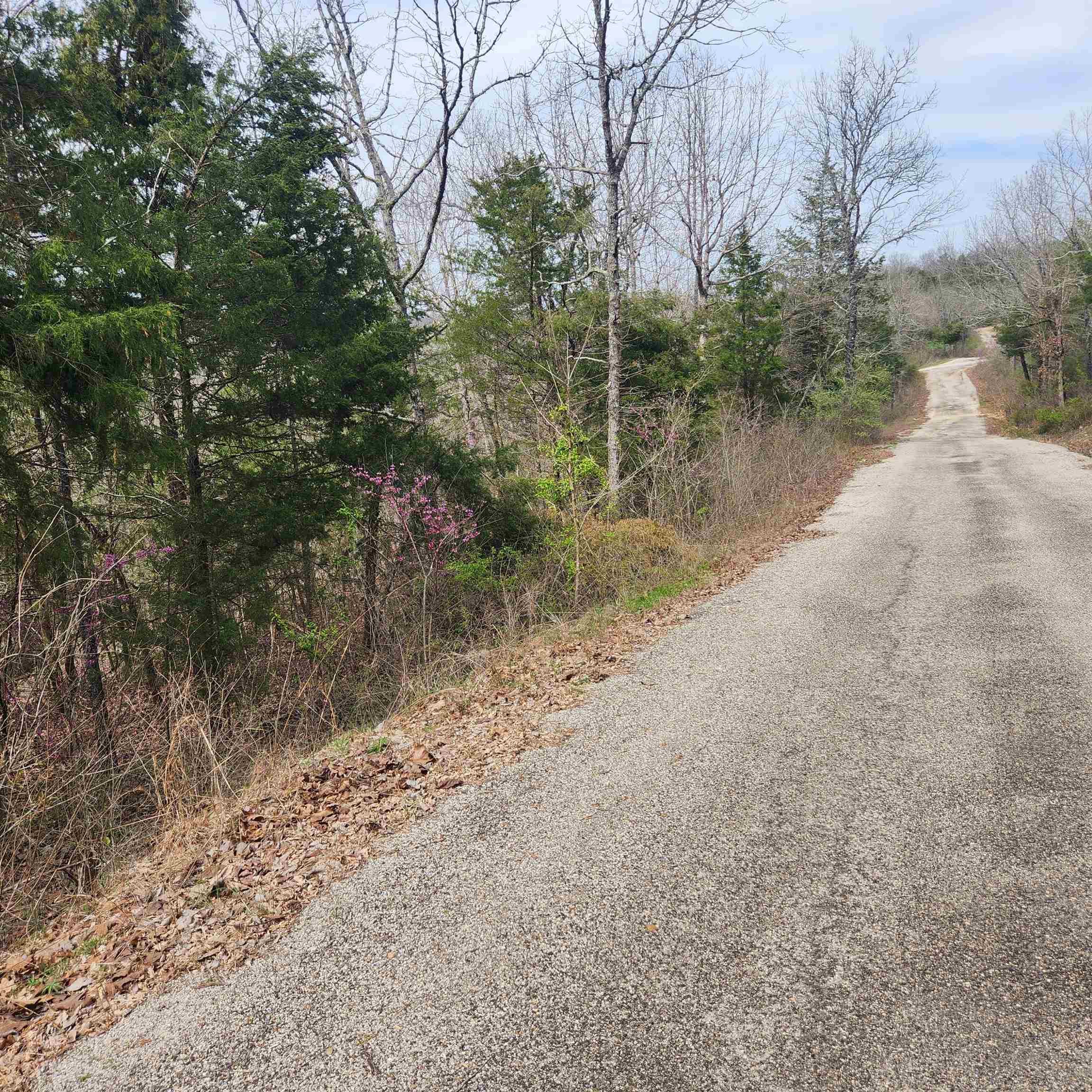 Chickasaw First - Land