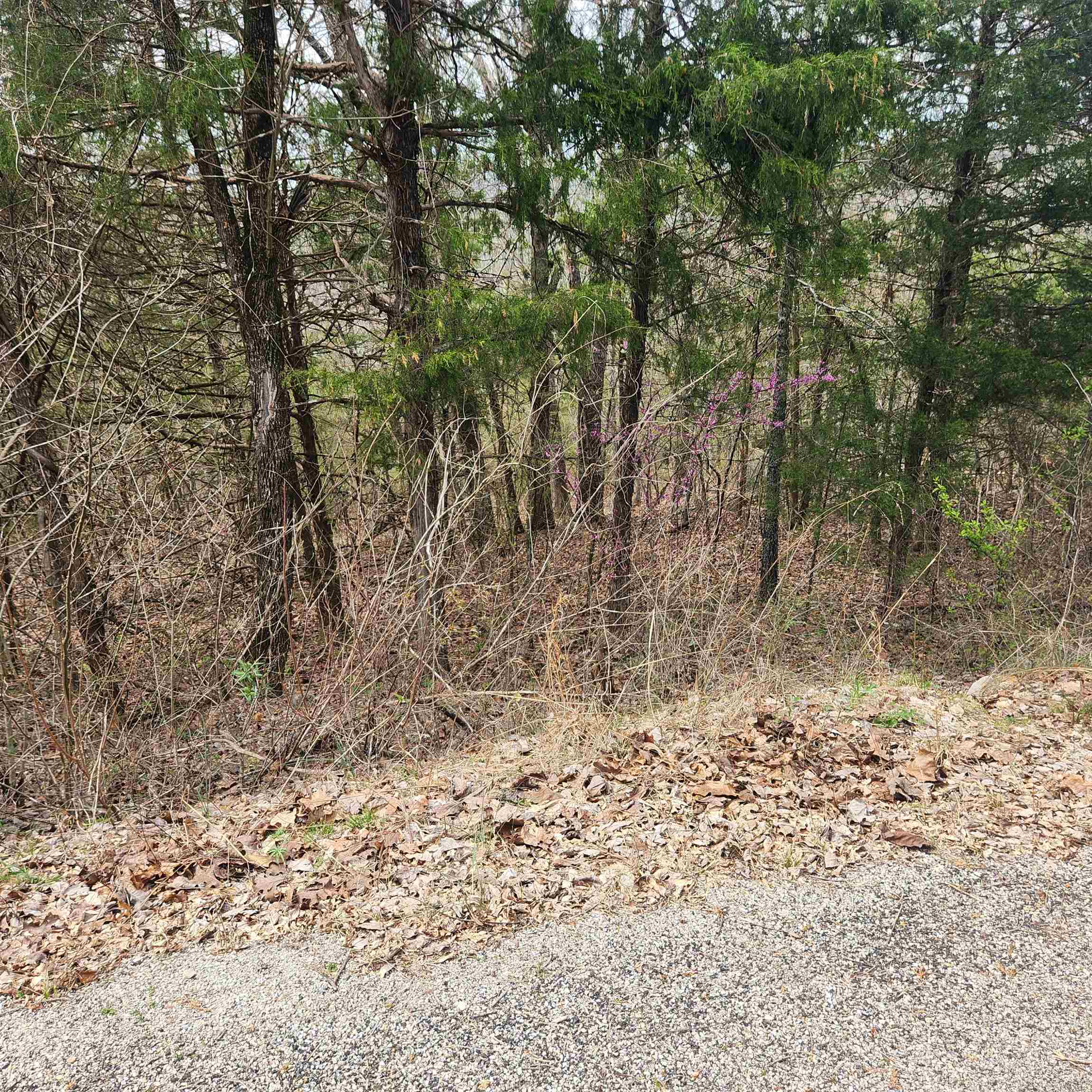 Chickasaw First - Land