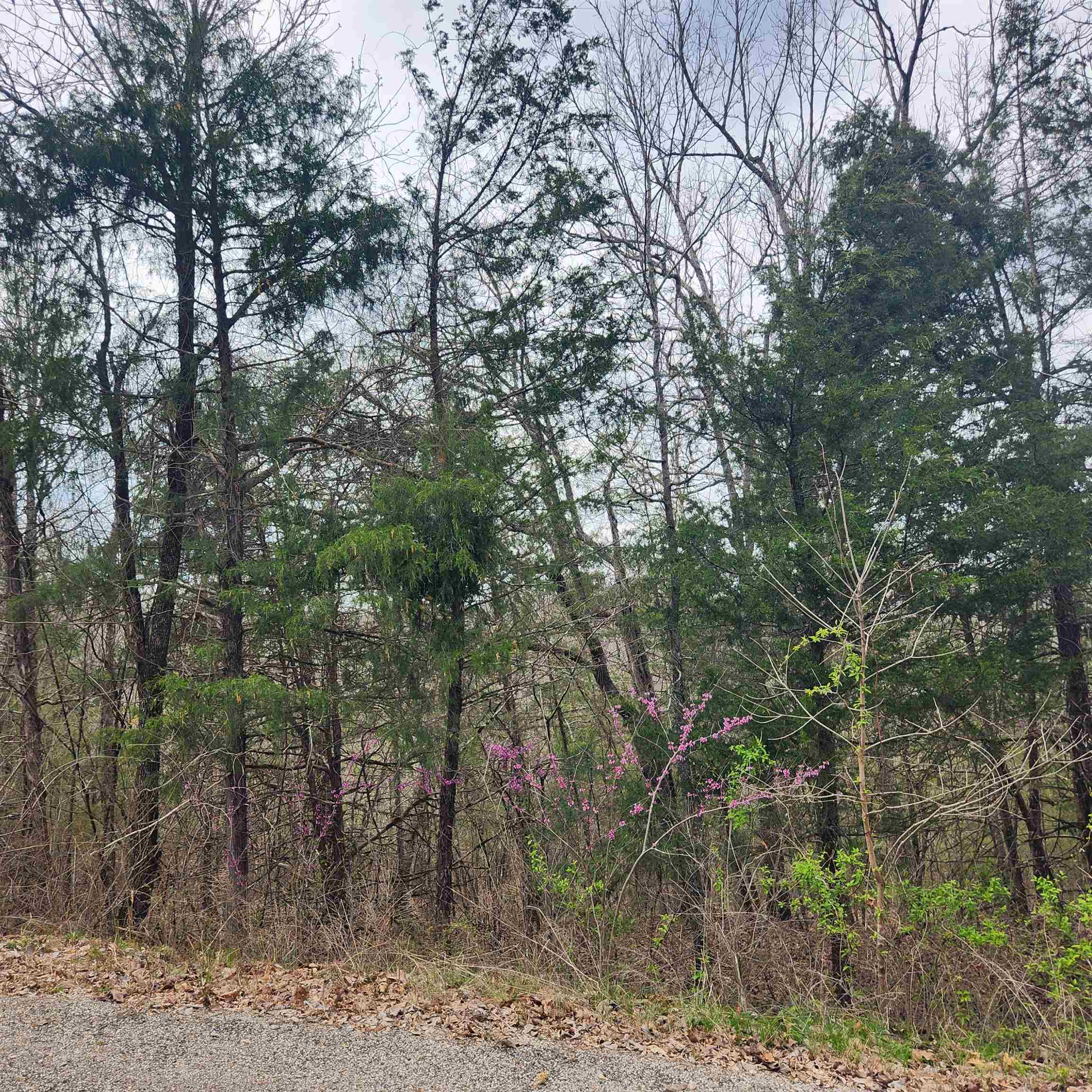 Chickasaw First - Land