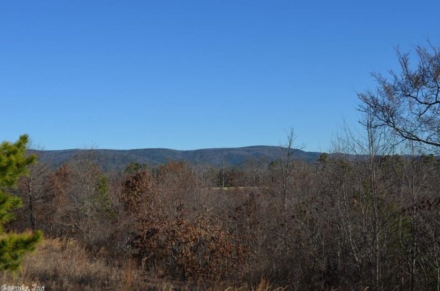 Great building spot for your home or cabin! Wooded acreage with a great view and at the end of the lane for privacy.  Well is on property along with rural water.   Only 50% minerals convey.