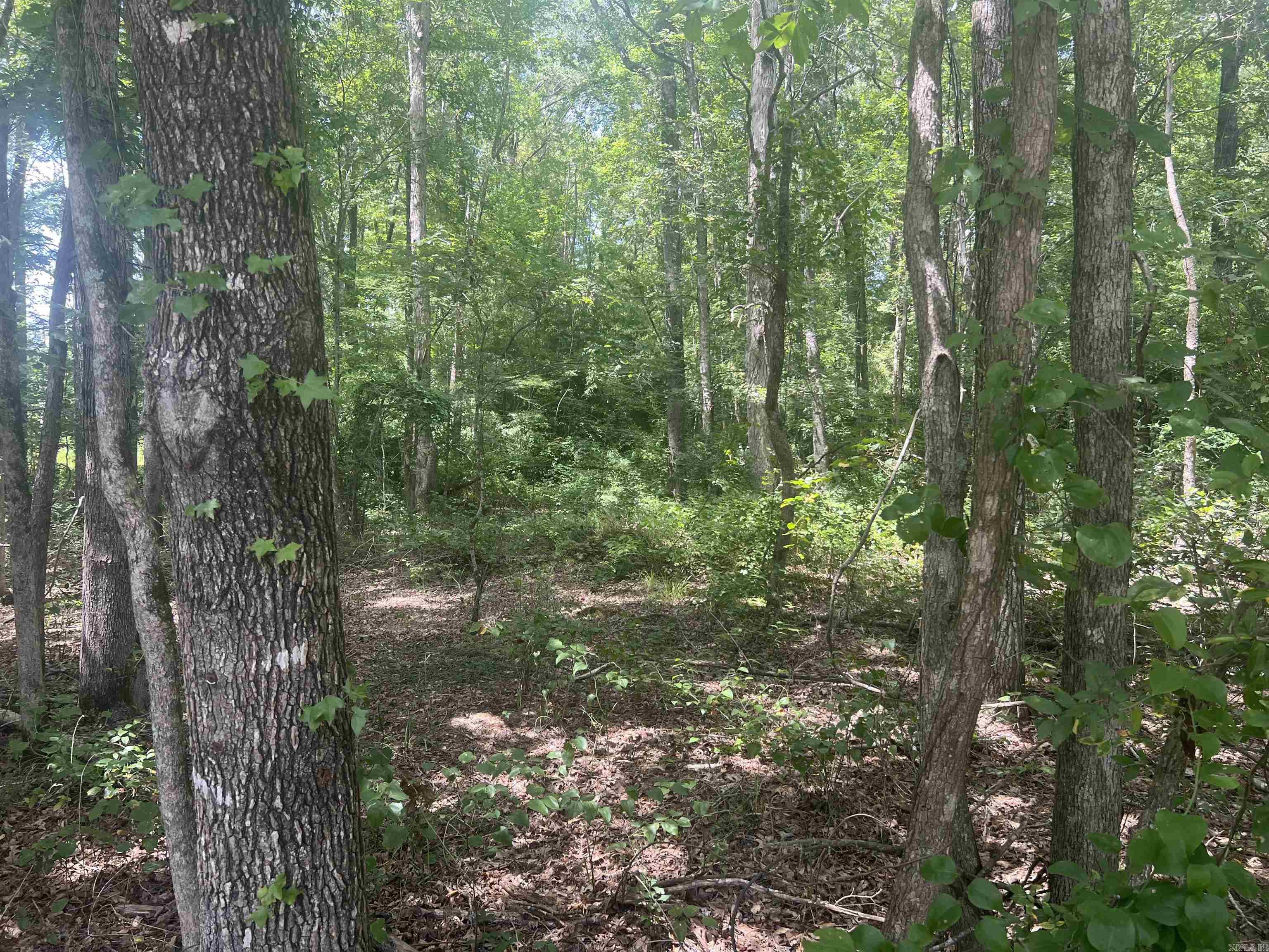 Meadowwood #4 - Land