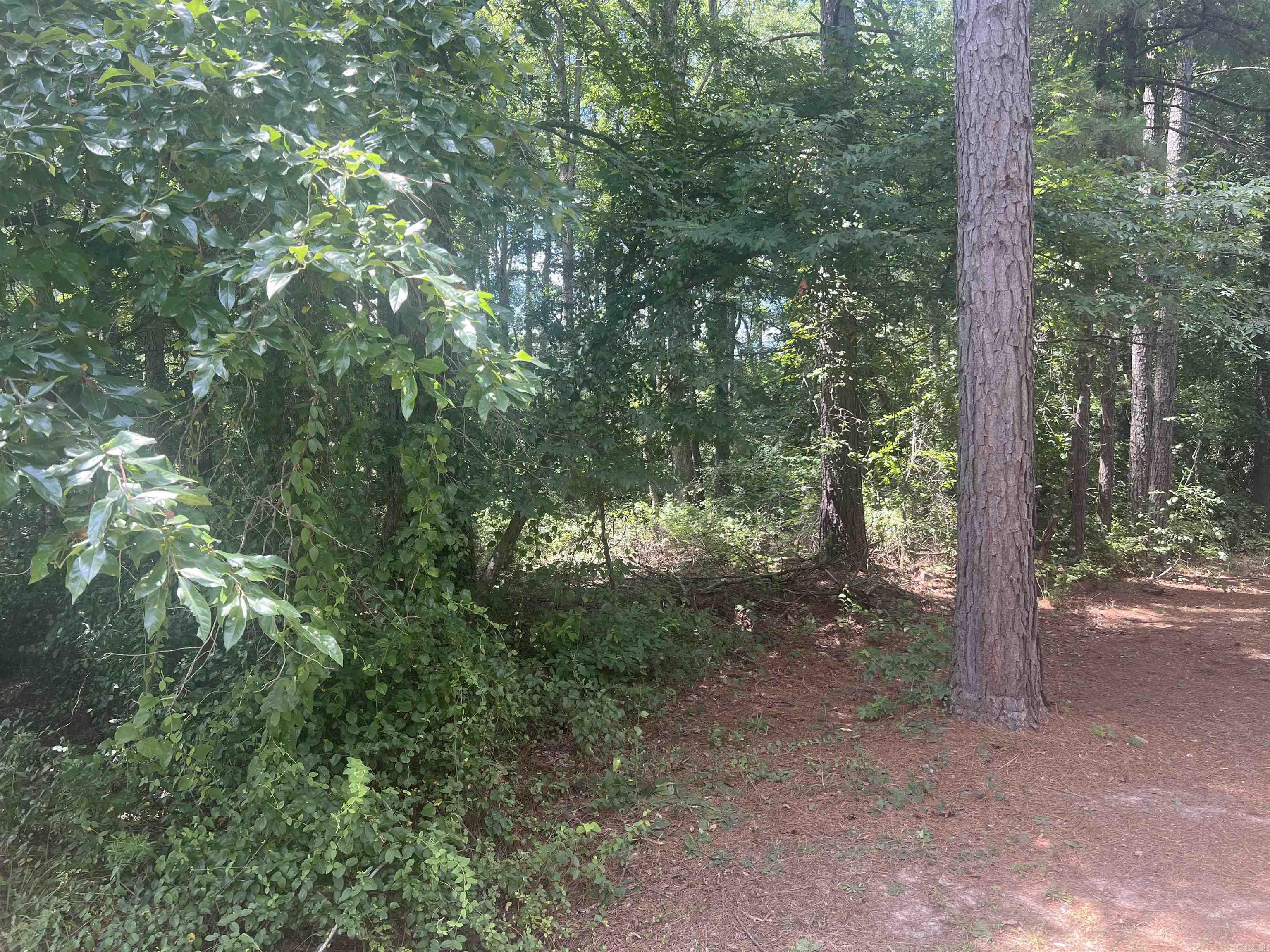 Meadowwood #4 - Land