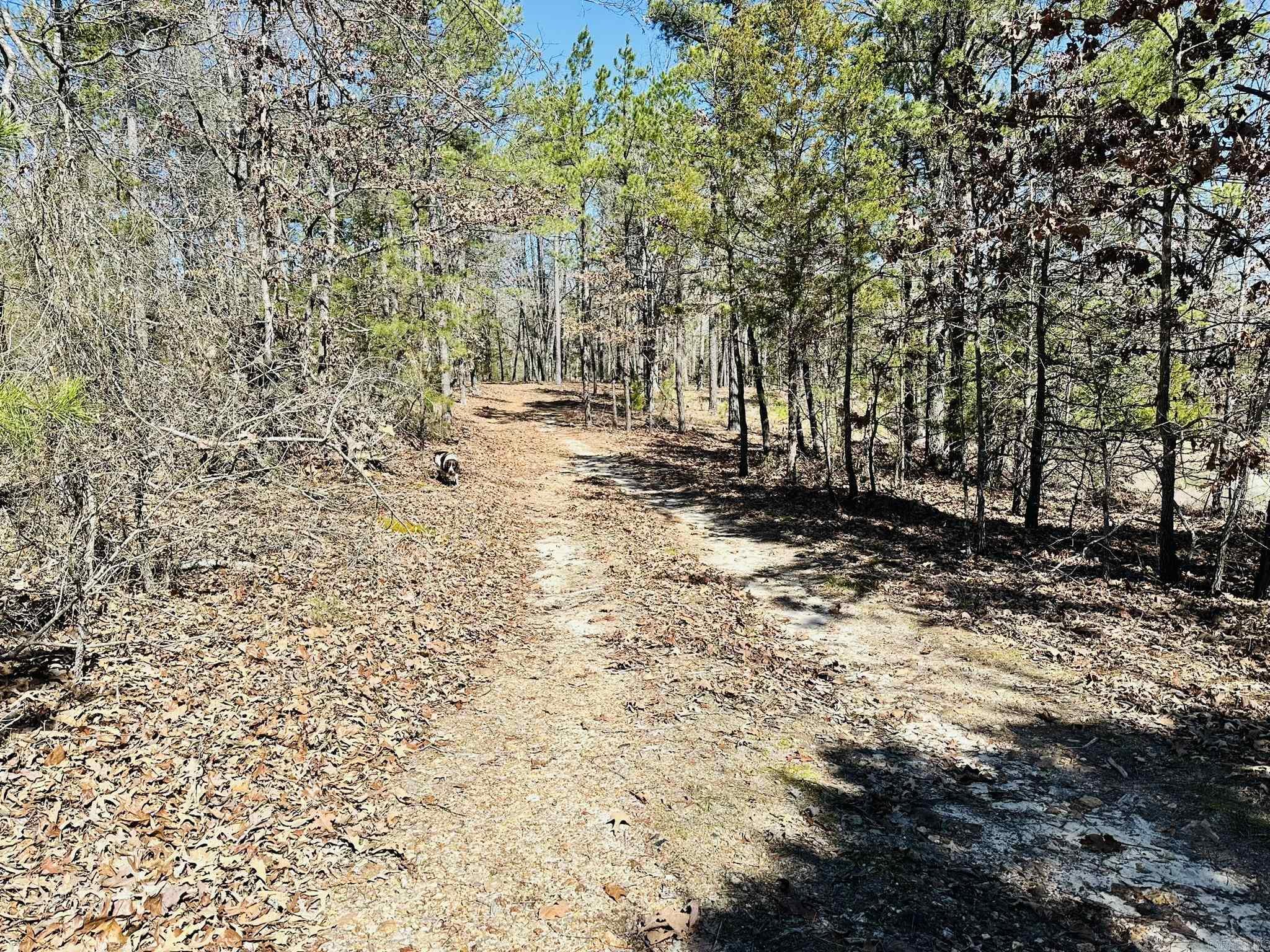 Metes & Bounds - Land