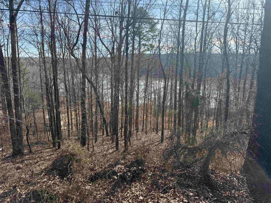 Nice Wooded lot on Lake Barnett. There is 100' of Lake Frontage. It measures approx 282' down to the water. Build your Getaway Cabin or home. There are no restrictions. Located just 15 minutes from Searcy or Beebe!