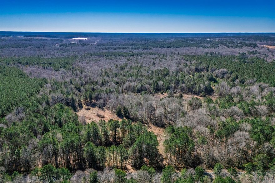 Discover 77± acres of beautiful South Arkansas countryside located in Stephens, AR, offering a versatile mix of wooded timber, natural clearings, and gently rolling terrain. The property features established trails and open areas ideal for hunting, recreation, or future development, with abundant wildlife and excellent privacy throughout. Mature pines and hardwoods provide both scenic value and potential timber opportunities, while multiple natural openings create ideal spots for food plots or a homesite.  This acreage is well-suited for outdoor enthusiasts, investors, or those seeking a peaceful rural retreat. Conveniently located just a short drive from Magnolia, the property offers easy access to shopping, dining, and medical services, as well as proximity to Southern Arkansas University, making it an excellent option for a long-term investment or recreational getaway with accessibility.  Whether you’re looking to hunt, build, explore, or invest, this expansive 77-acre tract provides endless potential in a desirable Columbia County location.