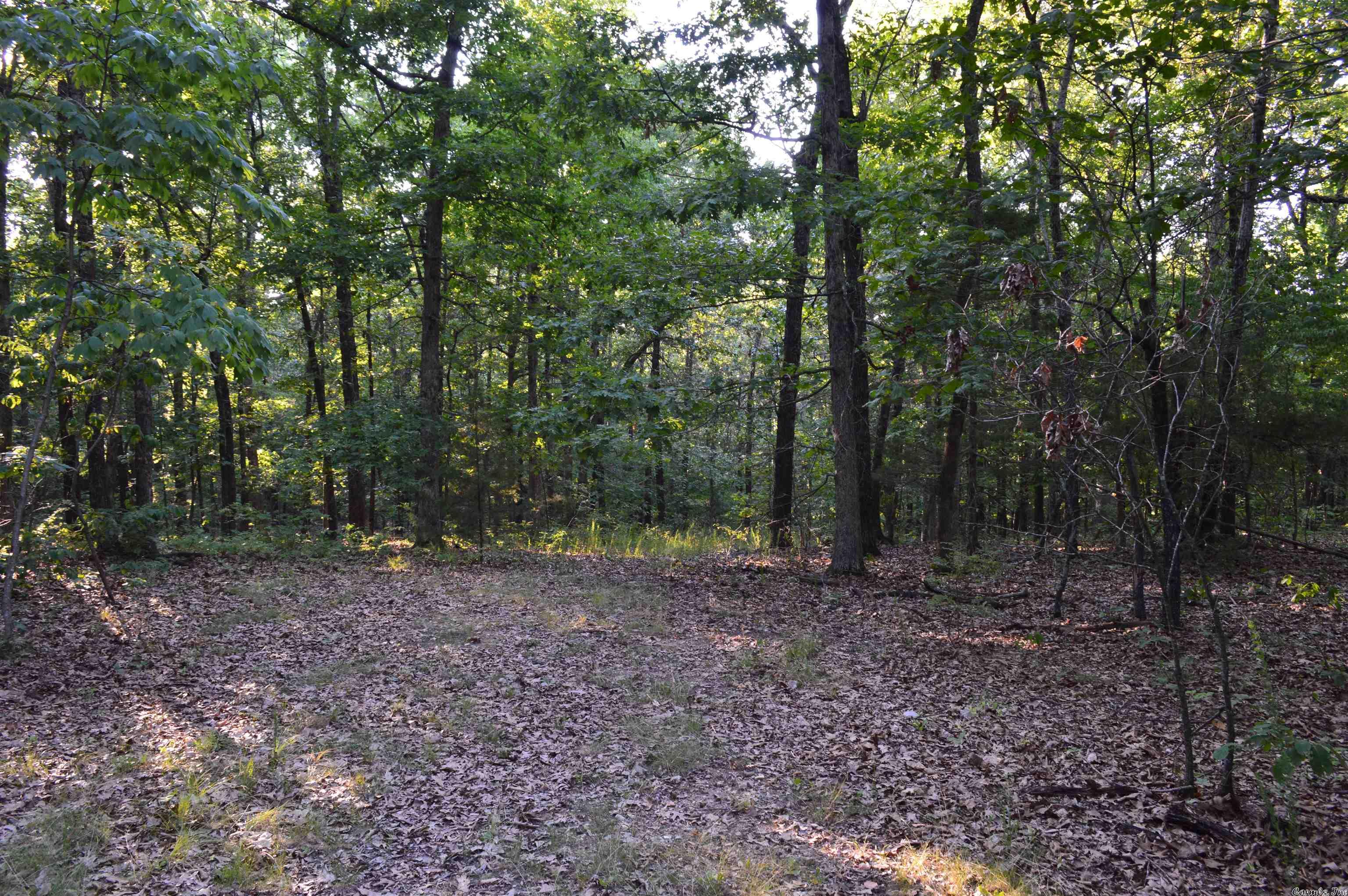 COUNTRY HILLS ESTATE - Land