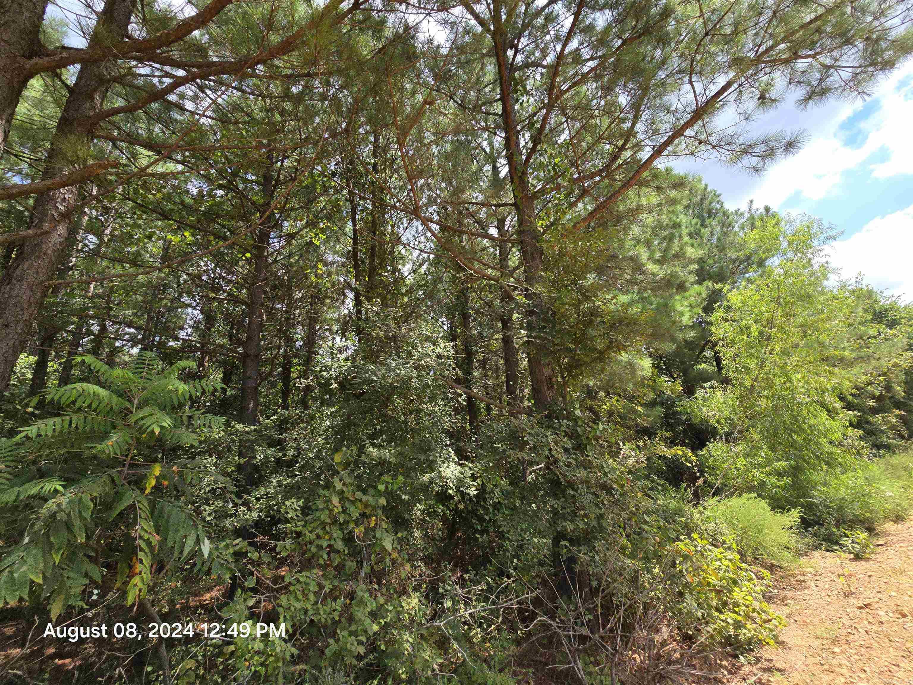 Metes & Bounds - Land