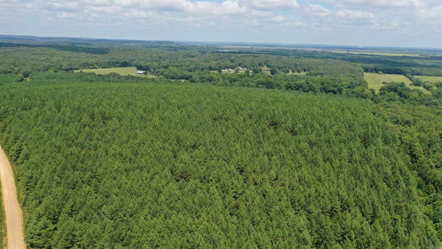 Investors get ready! Here's 280 acres of Tall Pines!  approx 76 acres is ready to be thinned now, rest in a few more years then back for 2nd cutting.   This land is being sold with all the harvestable timber on it, as it sits the day you see it. Has lanes in and around it, call today lets take a ride.  Possible Owner financing. However sellers must approve any changes to the property. Call agent today for details on this opportunity before its to late!