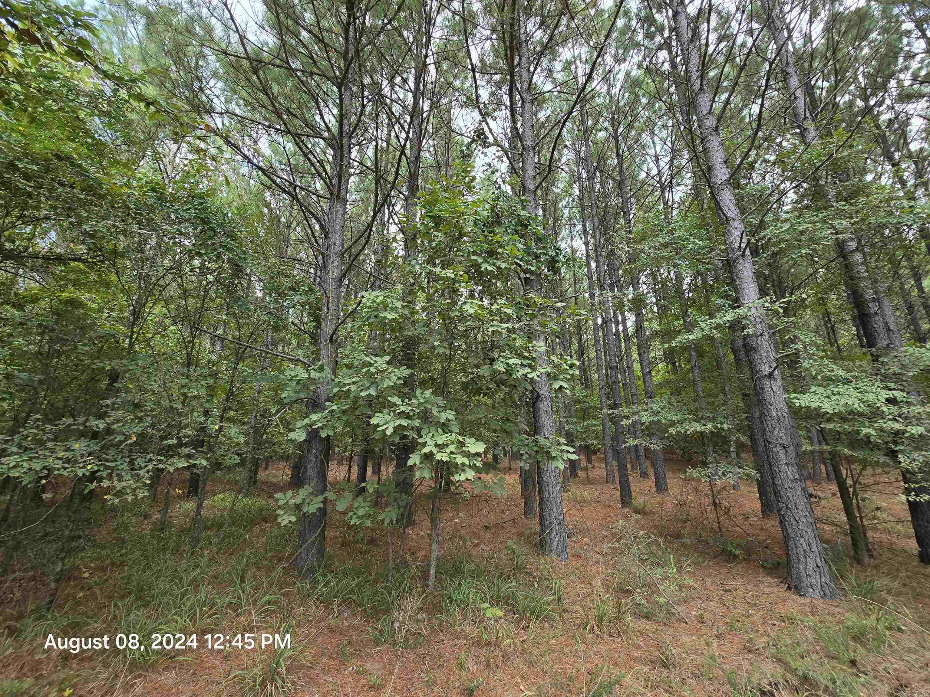 Metes & Bounds - Land