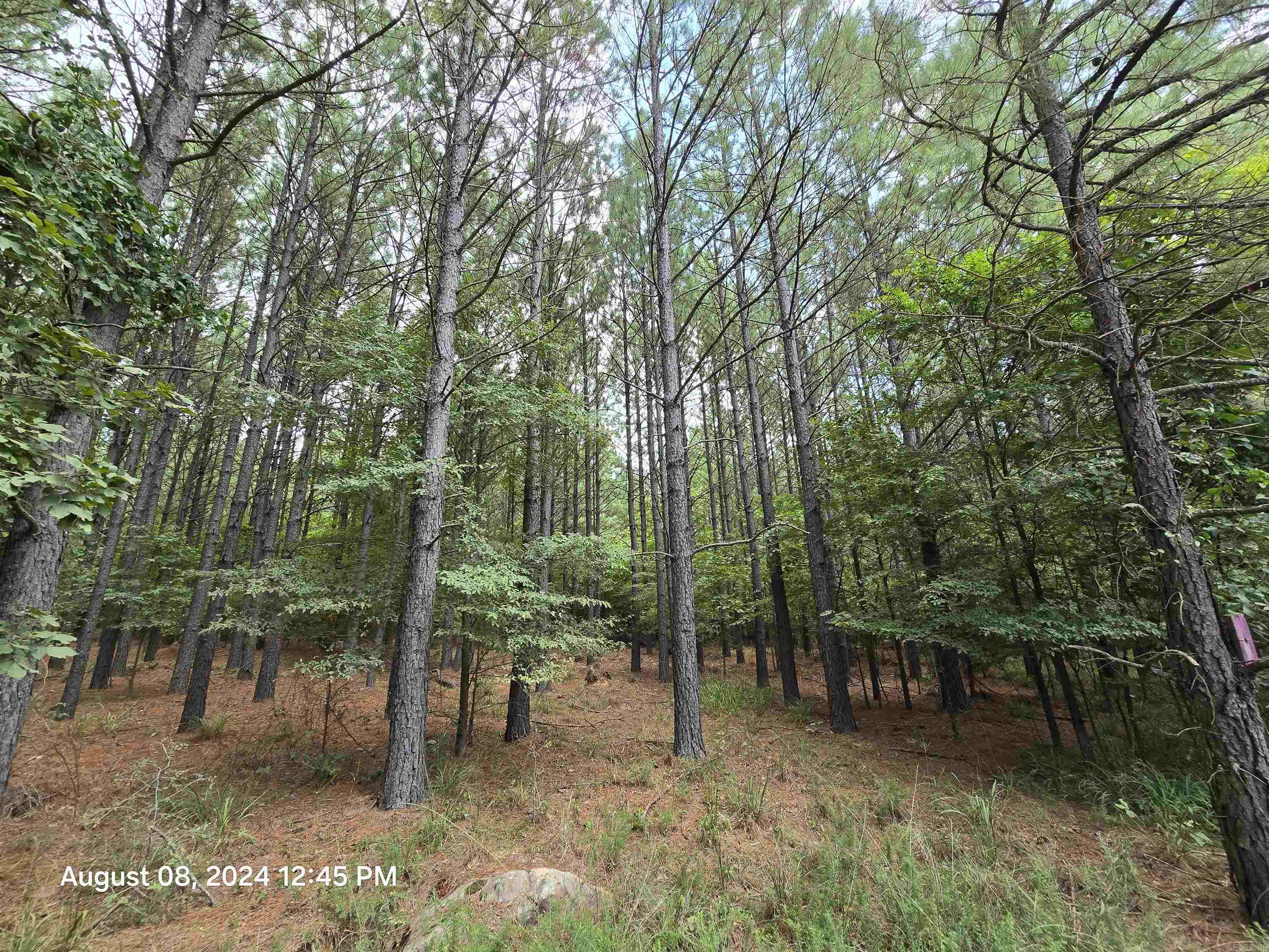 Metes & Bounds - Land