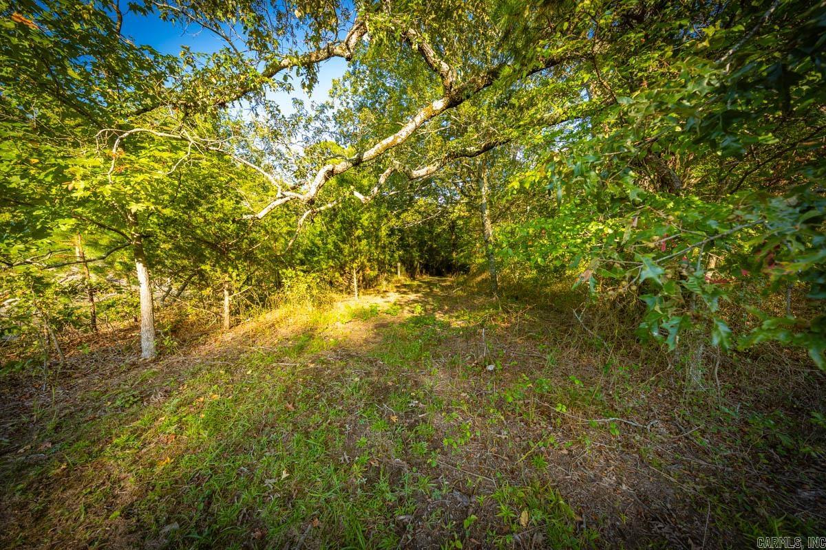 Come see this beautiful 5+/- acre lot! The land is mostly level and wooded. City water is on Ferndale/Congo and could easily be brought in to your future build site. Although it is a Little Rock address, the property is in Saline County.