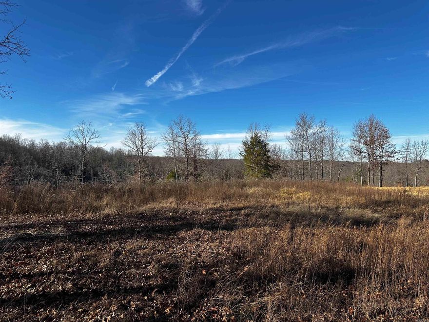 Just minutes outside the city limits of Mountain View, AR, this 19.40-acre wooded property offers privacy, beauty, and endless possibilities. Enjoy a wet-weather creek, abundant wildlife, and plenty of hunting opportunities right on your own land. A cleared homesite is already in place, offering scenic views and a perfect spot for your cabin or forever home. With no restrictions, you have the freedom to build, camp, homestead, or simply enjoy the natural setting. Water and electricity are available, giving you convenience without sacrificing seclusion. A rare find so close to town—don’t miss it! Priced at $79,999