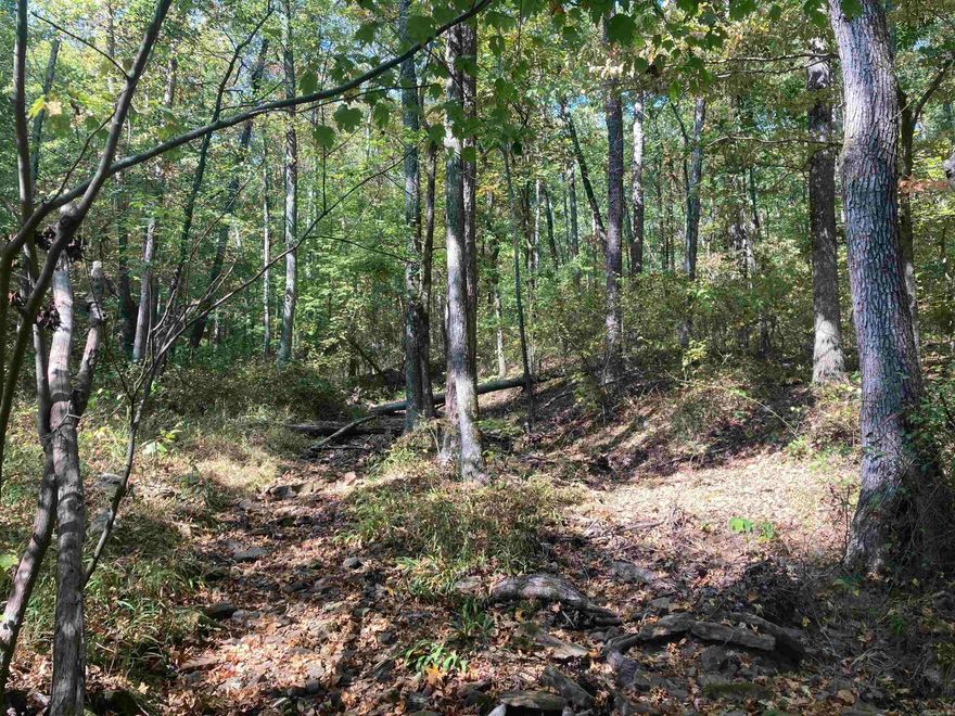 Great 40 acre piece of hunting land or recreation. With 3 sides of the property lined with Cherokee WMA and planted pine the wildlife is here. This would be a great place for a off-grid hunting. There is currently no legal easement to the property but it can be accessed for viewing. Logging company roads surround the property. Call today for more info!!!