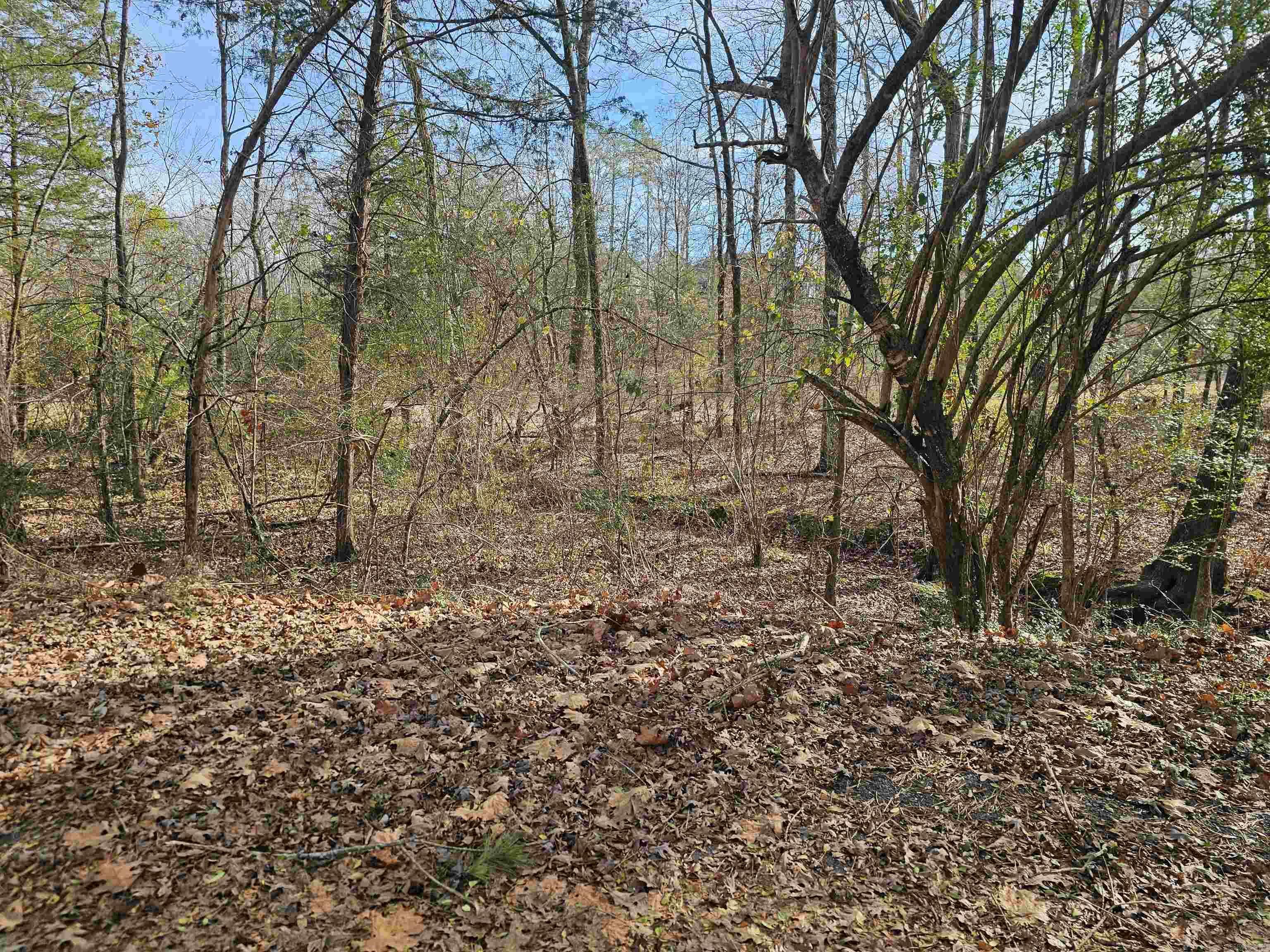 Ponce De Leon - Land