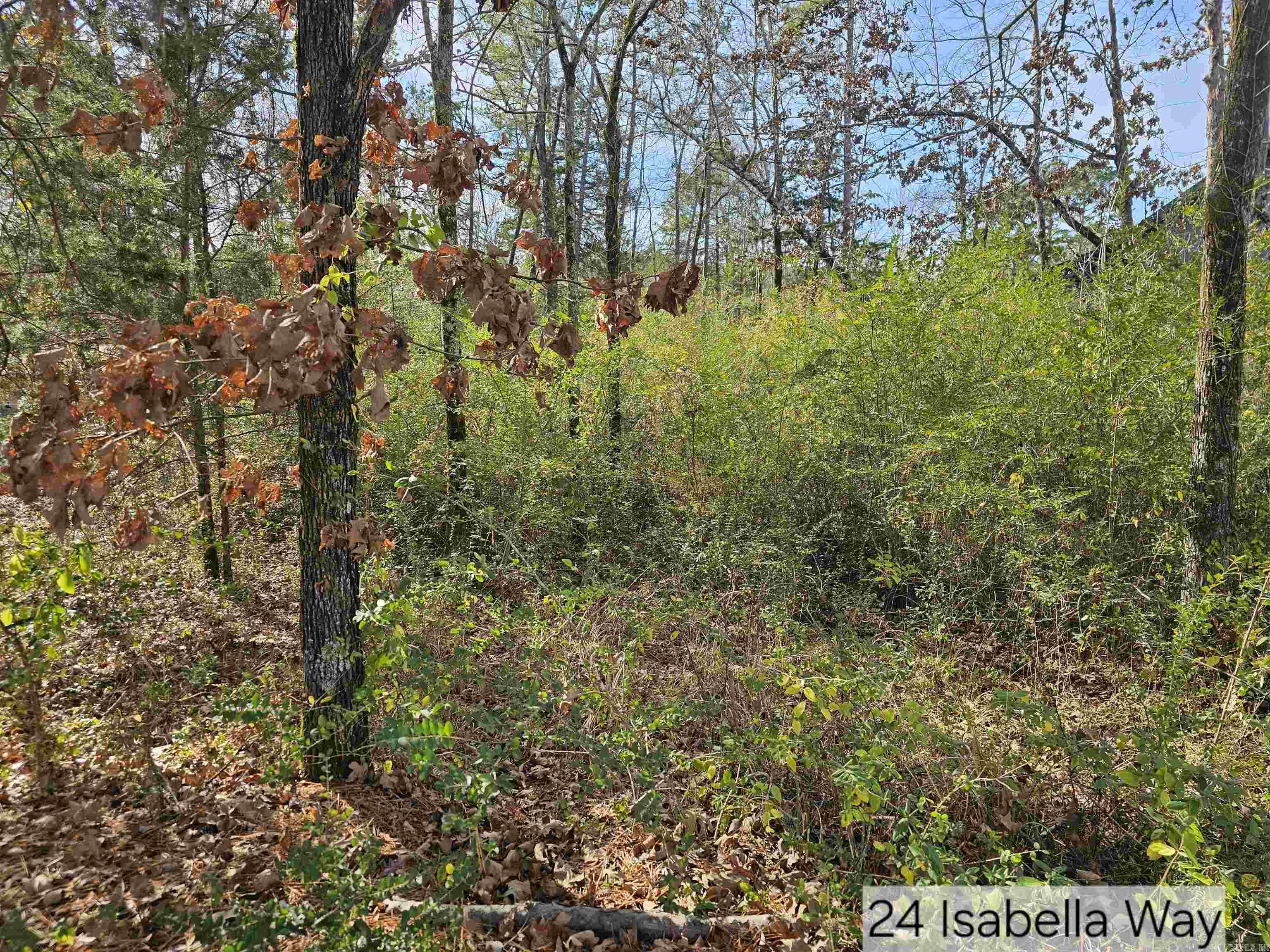 Ponce De Leon - Land