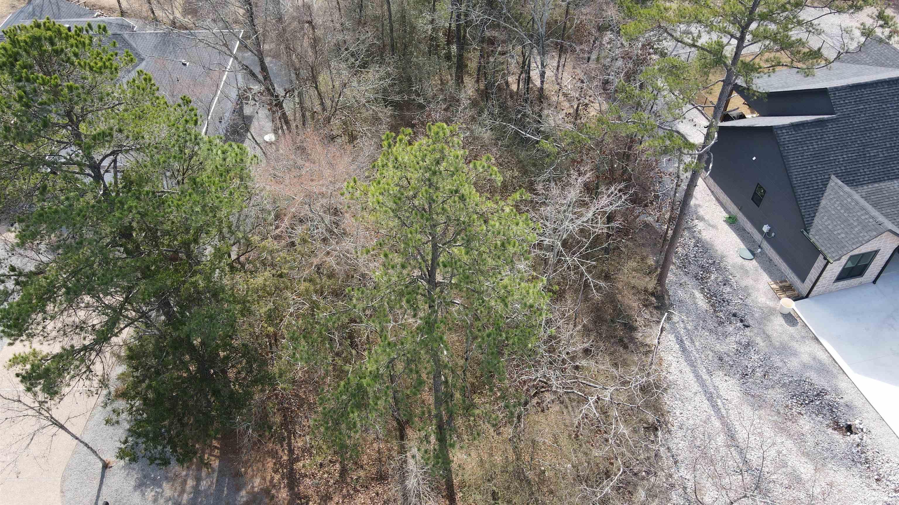 Ponce De Leon - Land