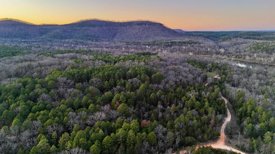 Located in Mount Olive, this 4.14 wooded acres has a fantastic building location! This property offers privacy and a seasonal creek! Located just minutes from the White River and nearby hiking trails. Electric & Fiber internet is available. A great opportunity for anyone looking for land close to outdoor recreation.