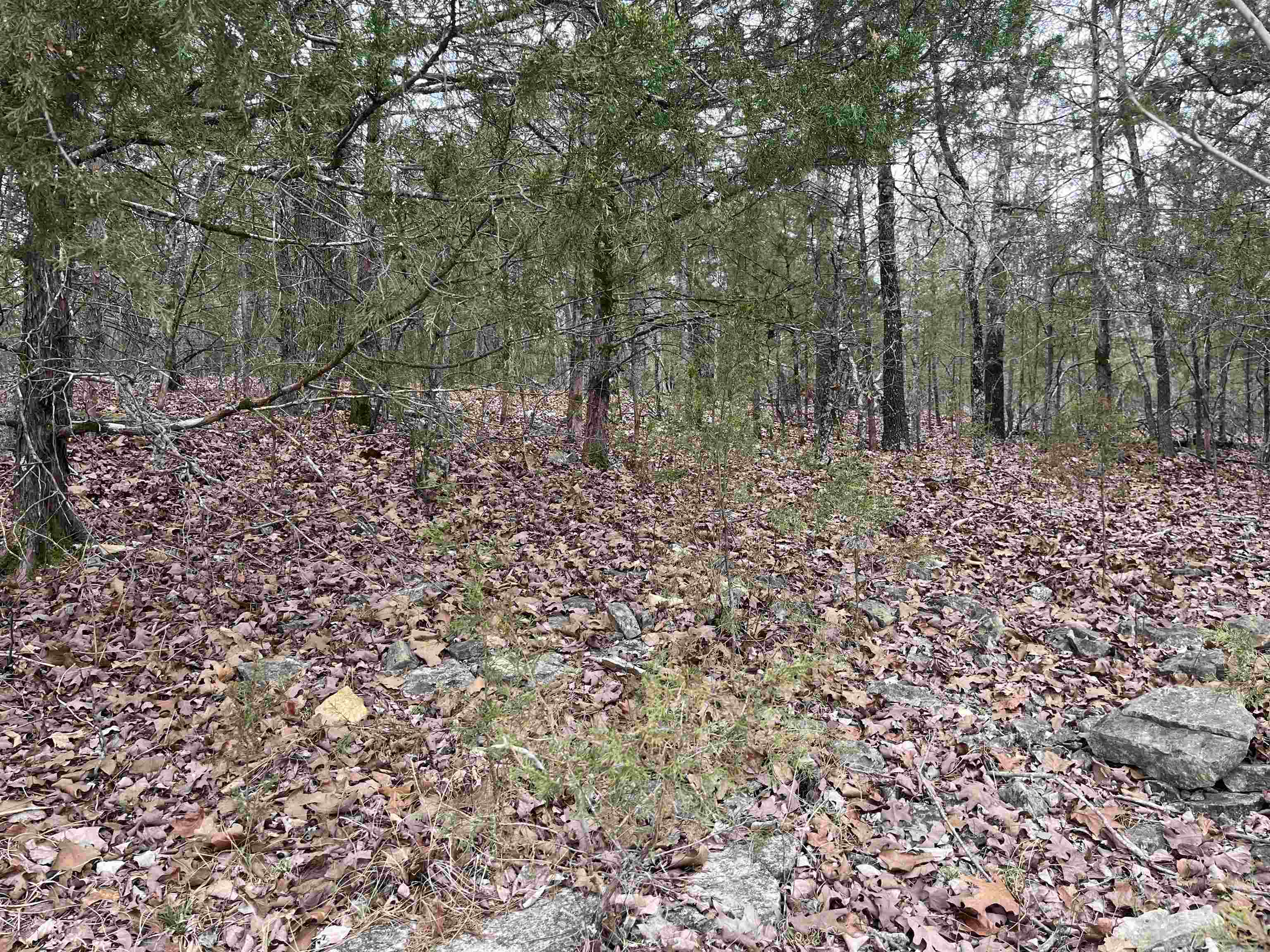 Talk about a PANARAMIC VIEW!!! This lot sets across the road from beautiful Lake Chanute and the road curves around the lot giving you a view of the lake that will wrap around you. Build your dream home up on this hillside and have a view like no other. It sets across the lake from the dam.