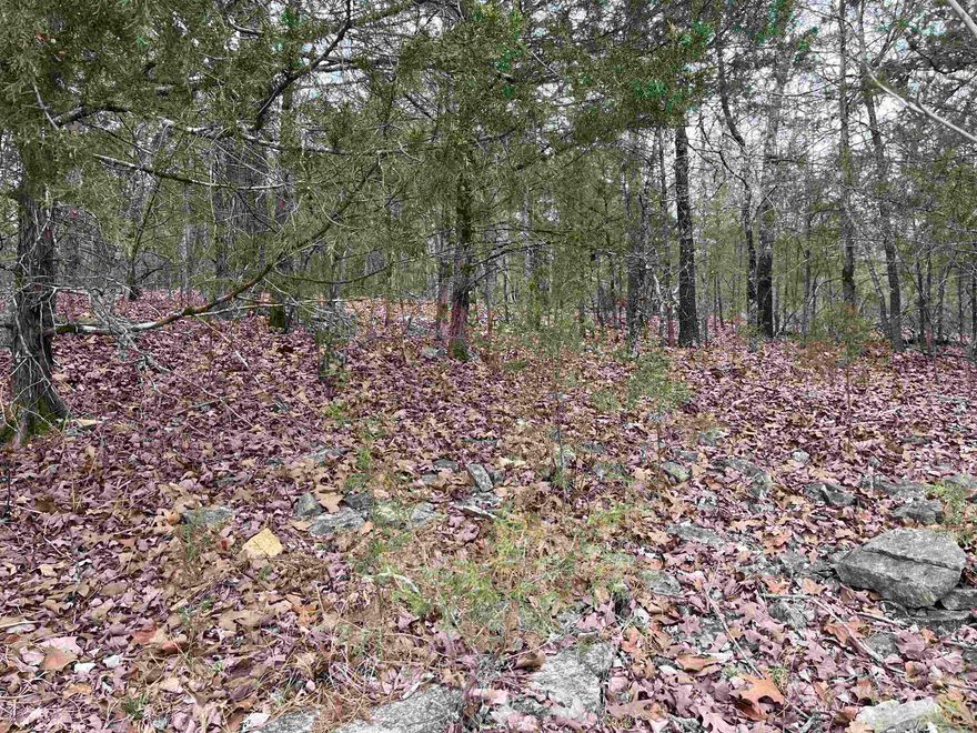 Talk about a PANARAMIC VIEW!!! This lot sets across the road from beautiful Lake Chanute and the road curves around the lot giving you a view of the lake that will wrap around you. Build your dream home up on this hillside and have a view like no other. It sets across the lake from the dam.